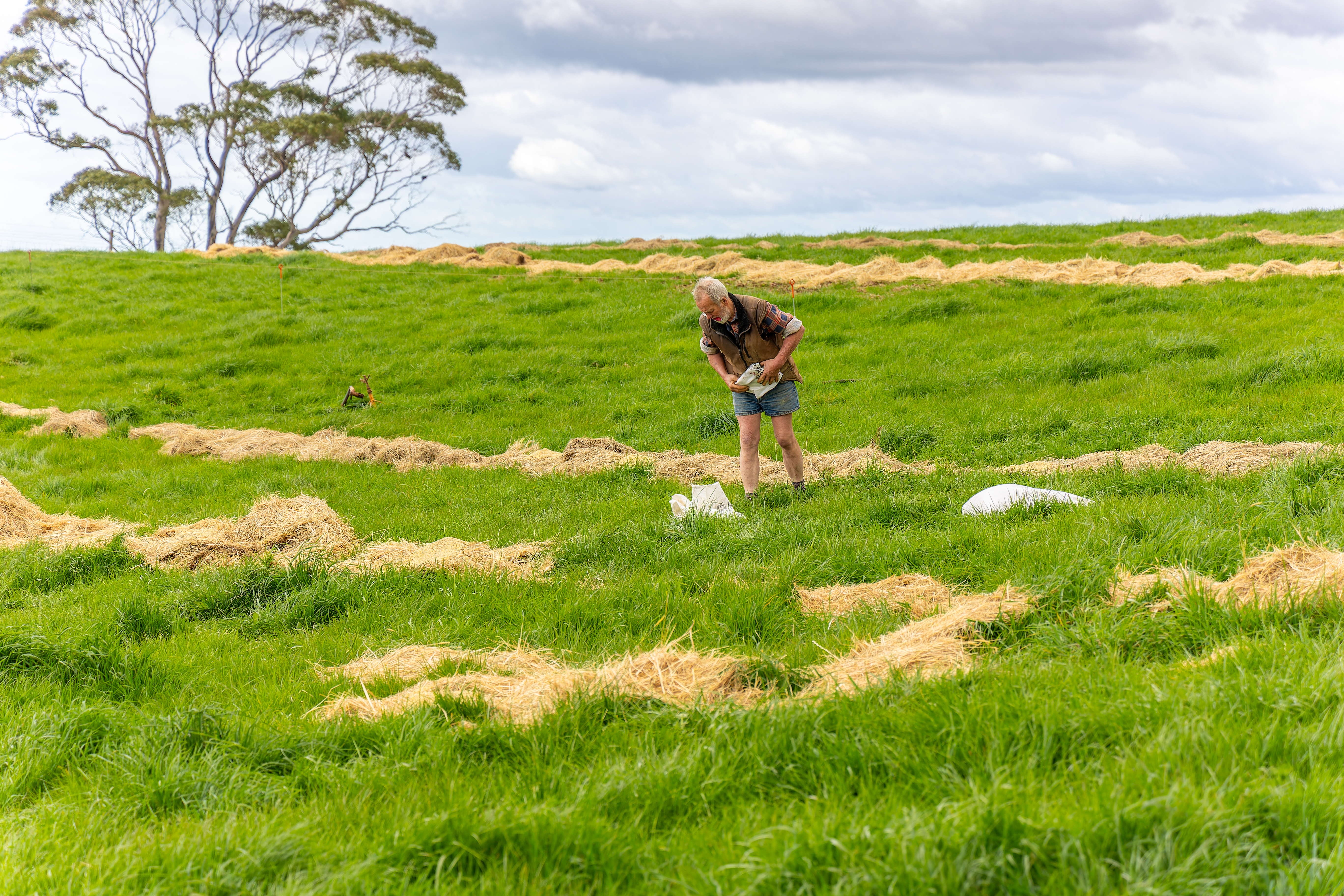 Data-Driven Decision Making in Pasture Management: The Pasture.io Advantage