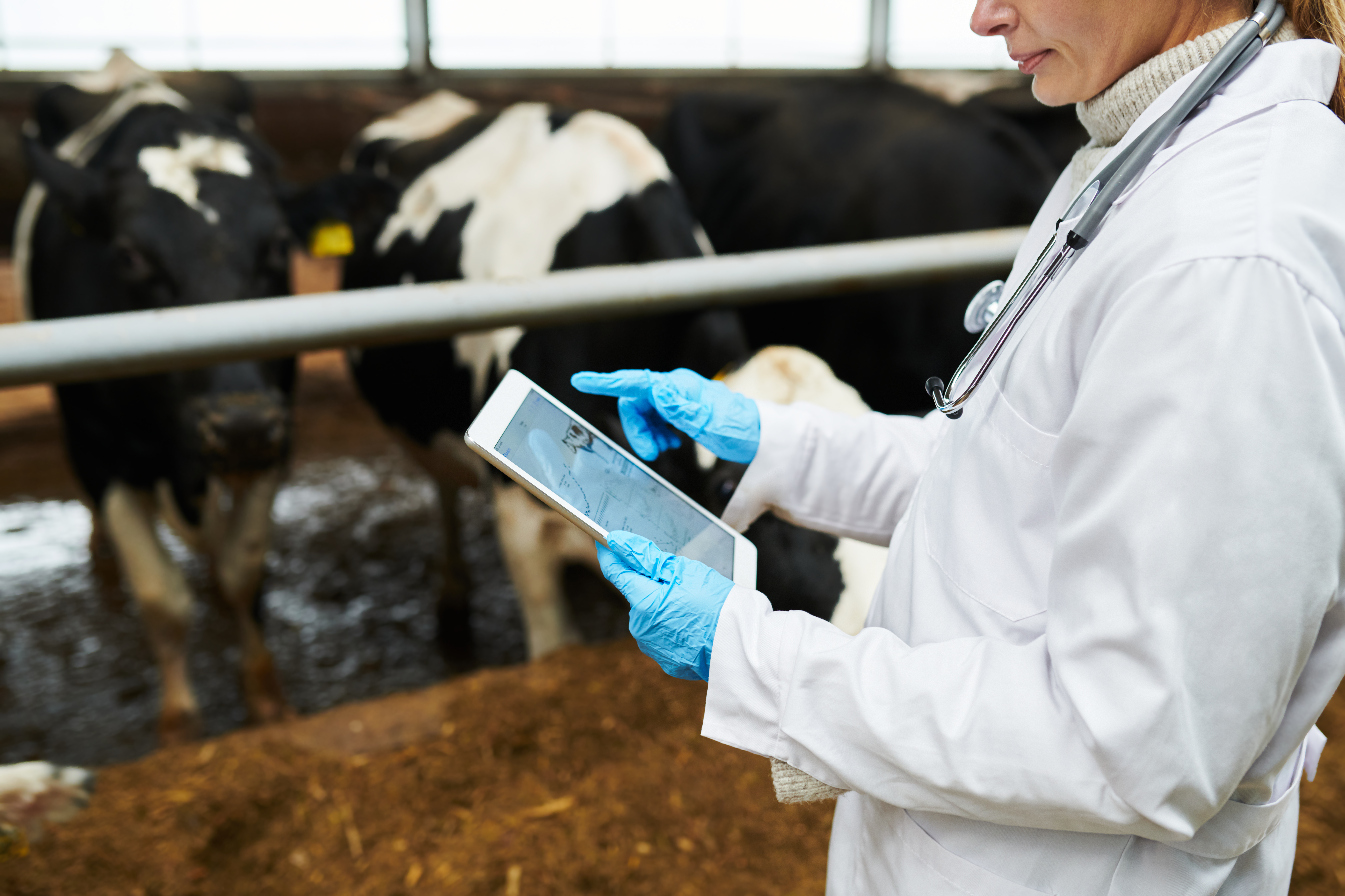 High-Tech Shields: How Technology Can Boost Your Farm’s Biosecurity