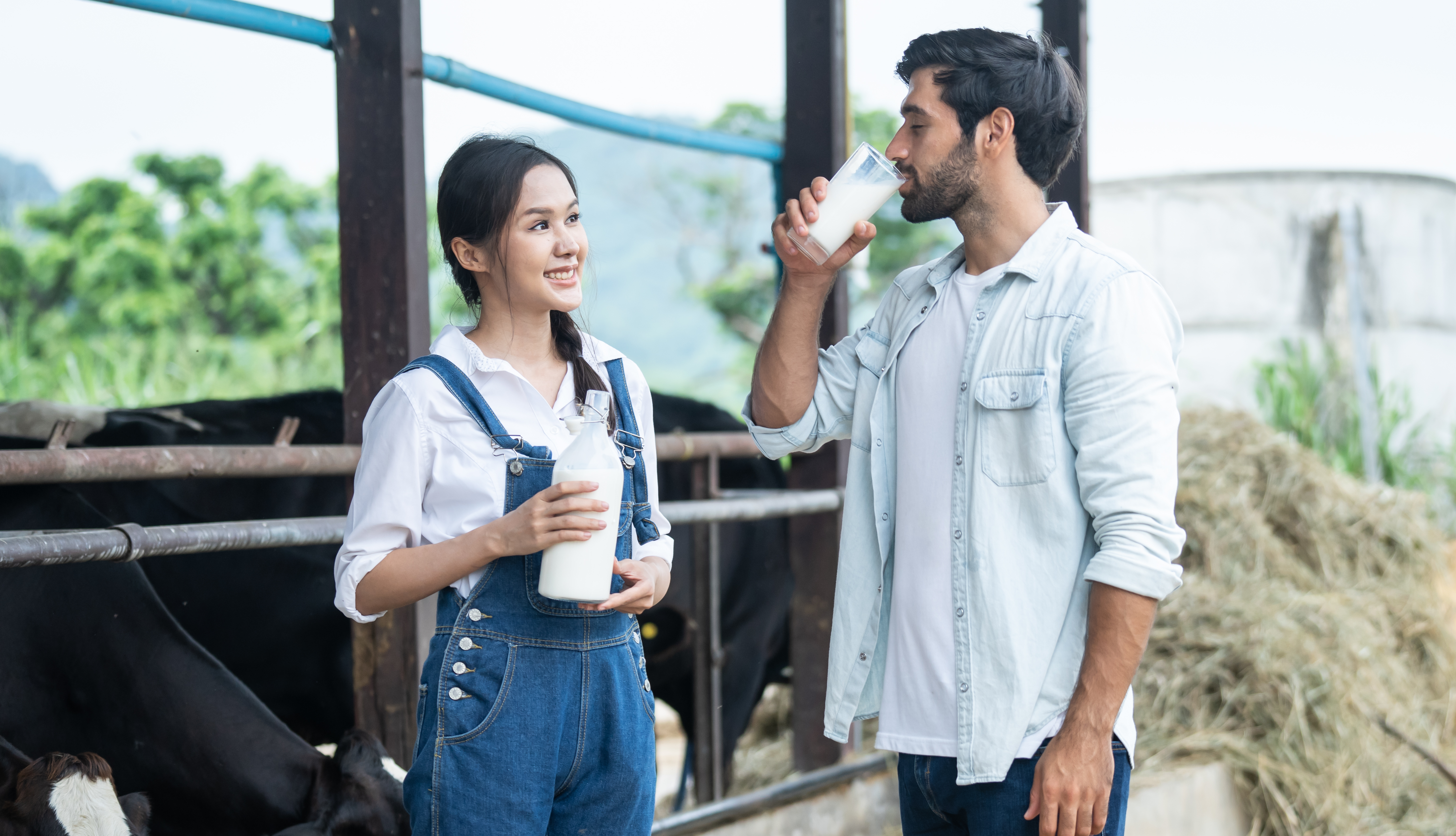 Milk price revised down in late 2025: what to do when the payout softens but costs stay sticky