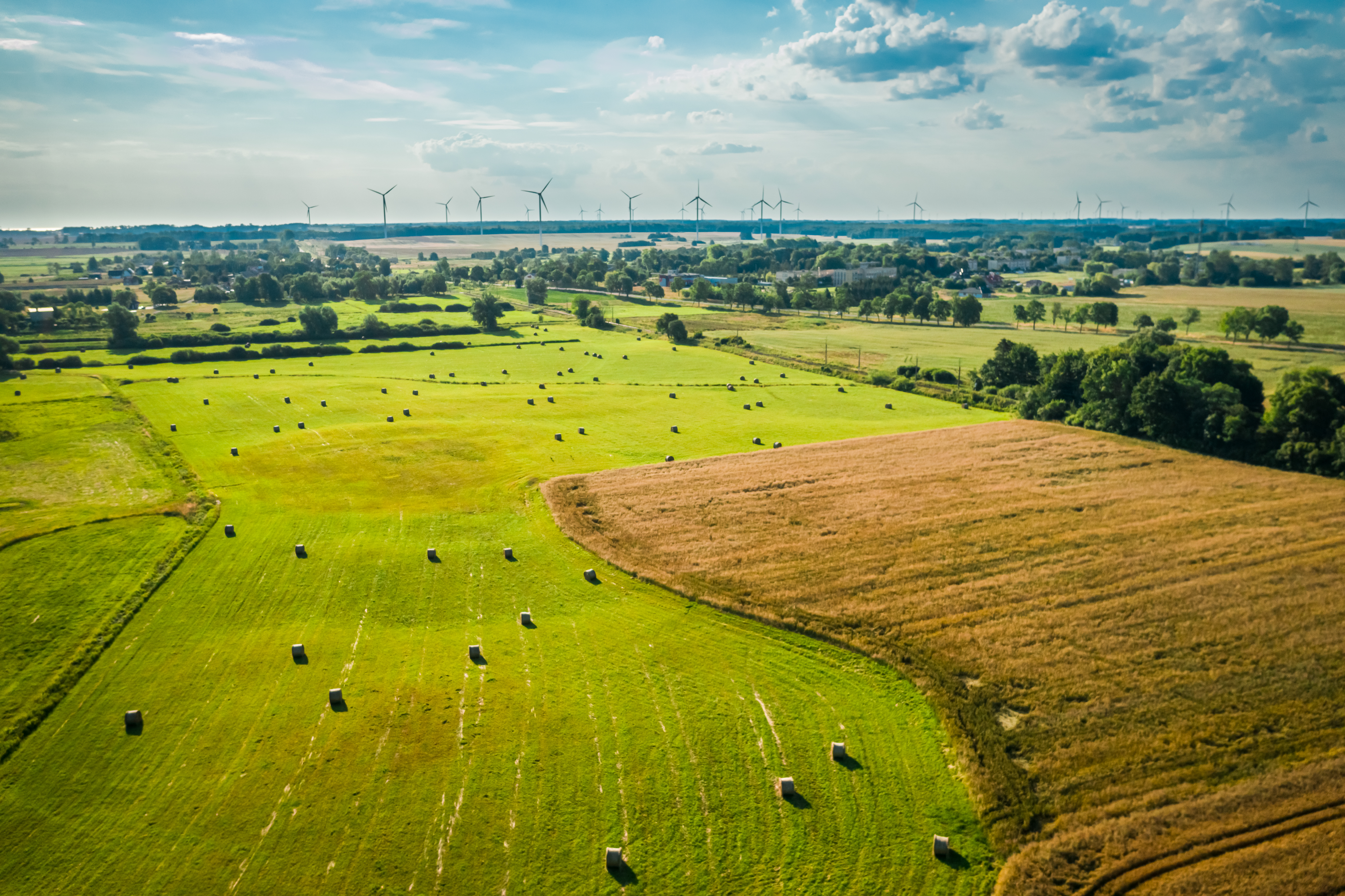 Forage, Fodder and Finances: What Farmers Need To Know To Protect Their Investments