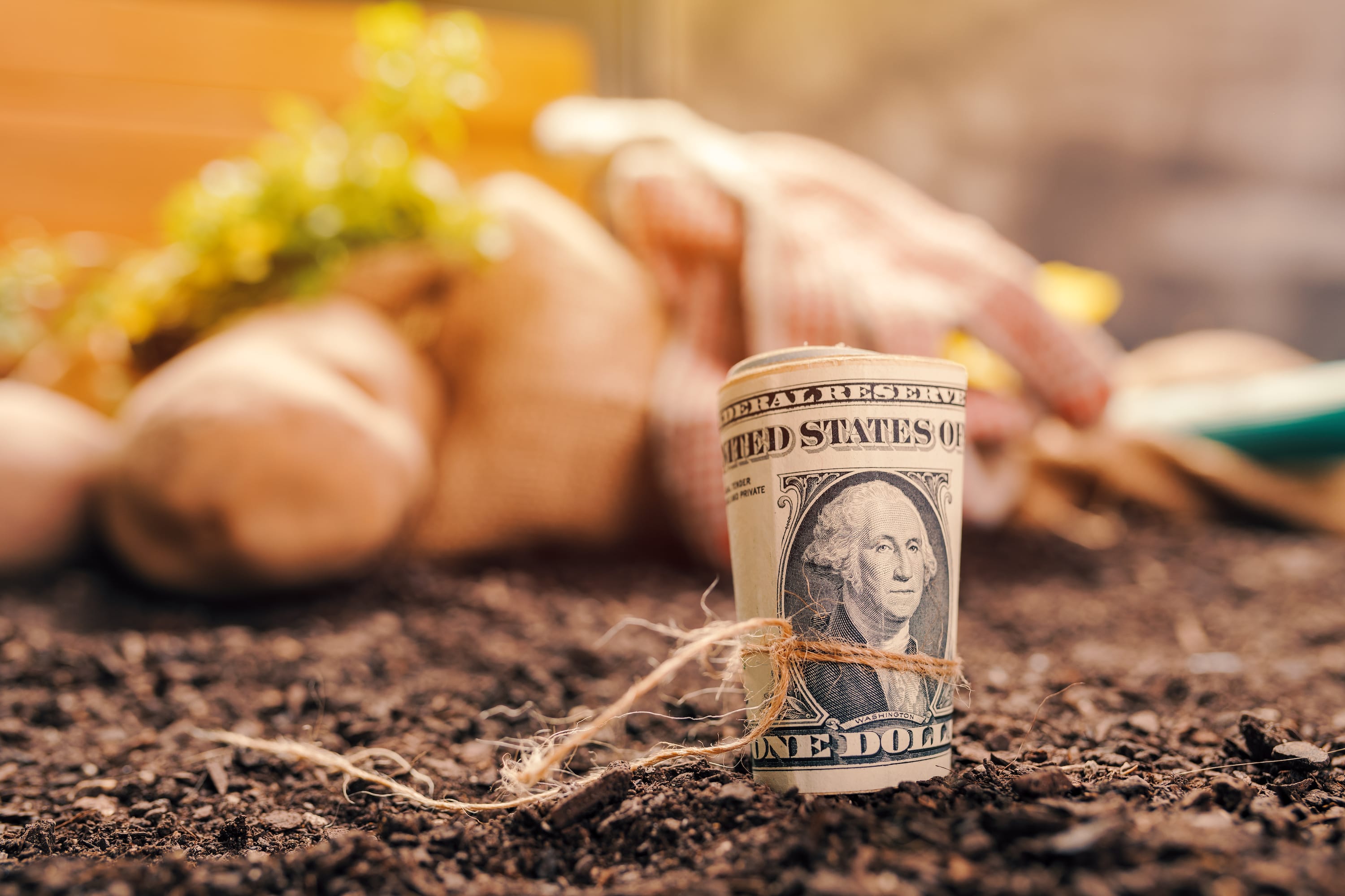 Make Money With These 8 Profitable Small Farming Options — Part 1