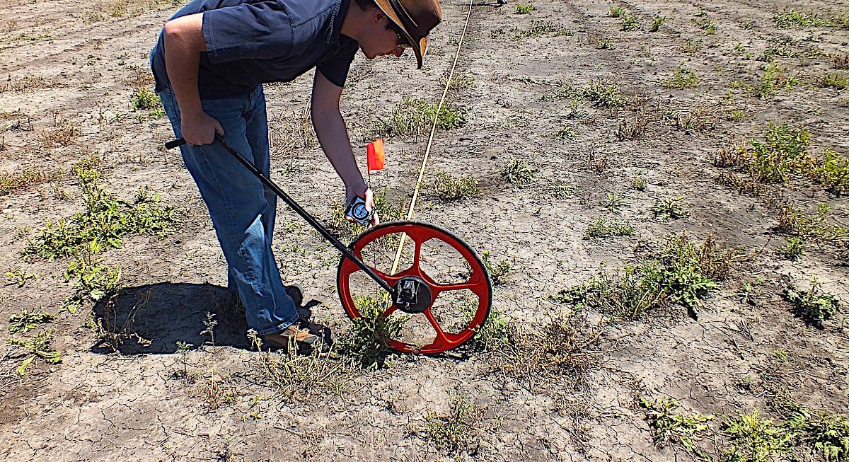 A practical guide to design shelterbelts on your farm