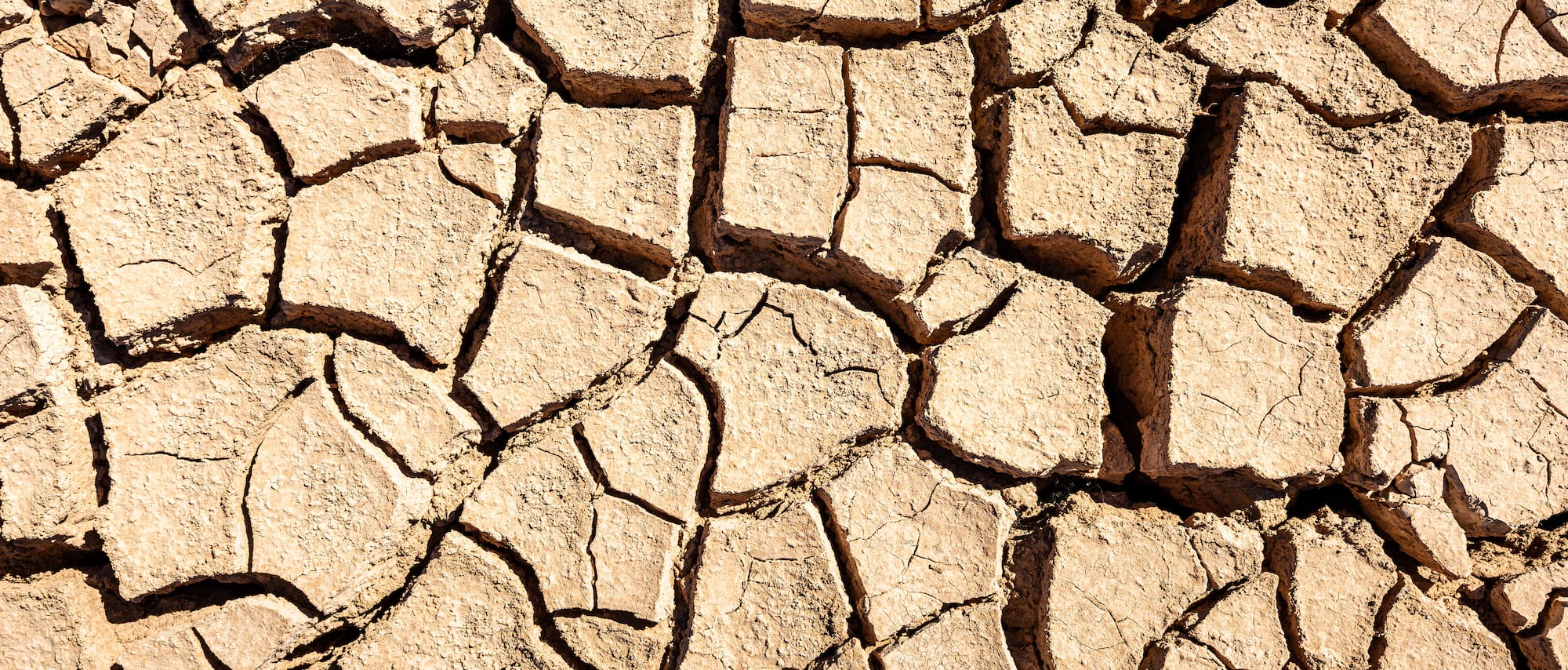 How to Deal with Drought
