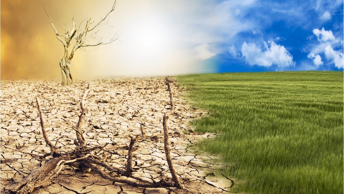 Adapting your farm to climate change