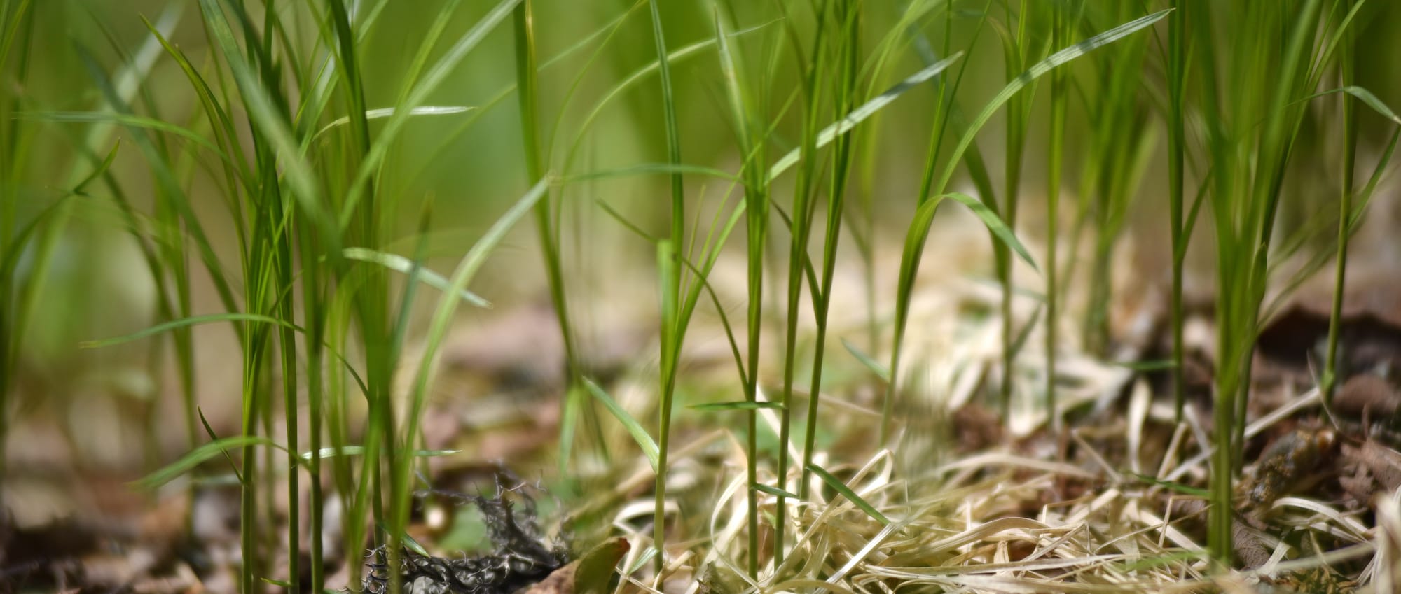 Recovering from a drought