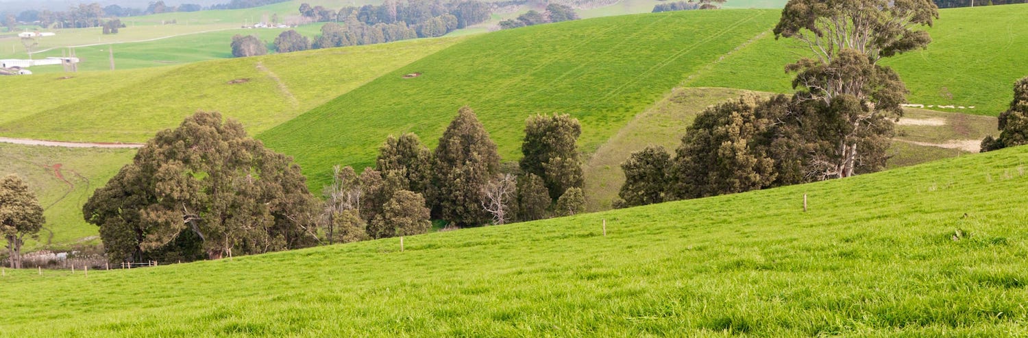 Why You Need To Set Pre And Post-Grazing Targets Now!