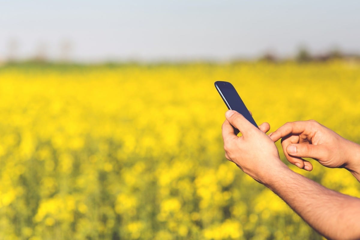 The Next Era of Smart Livestock Farm-Business Management