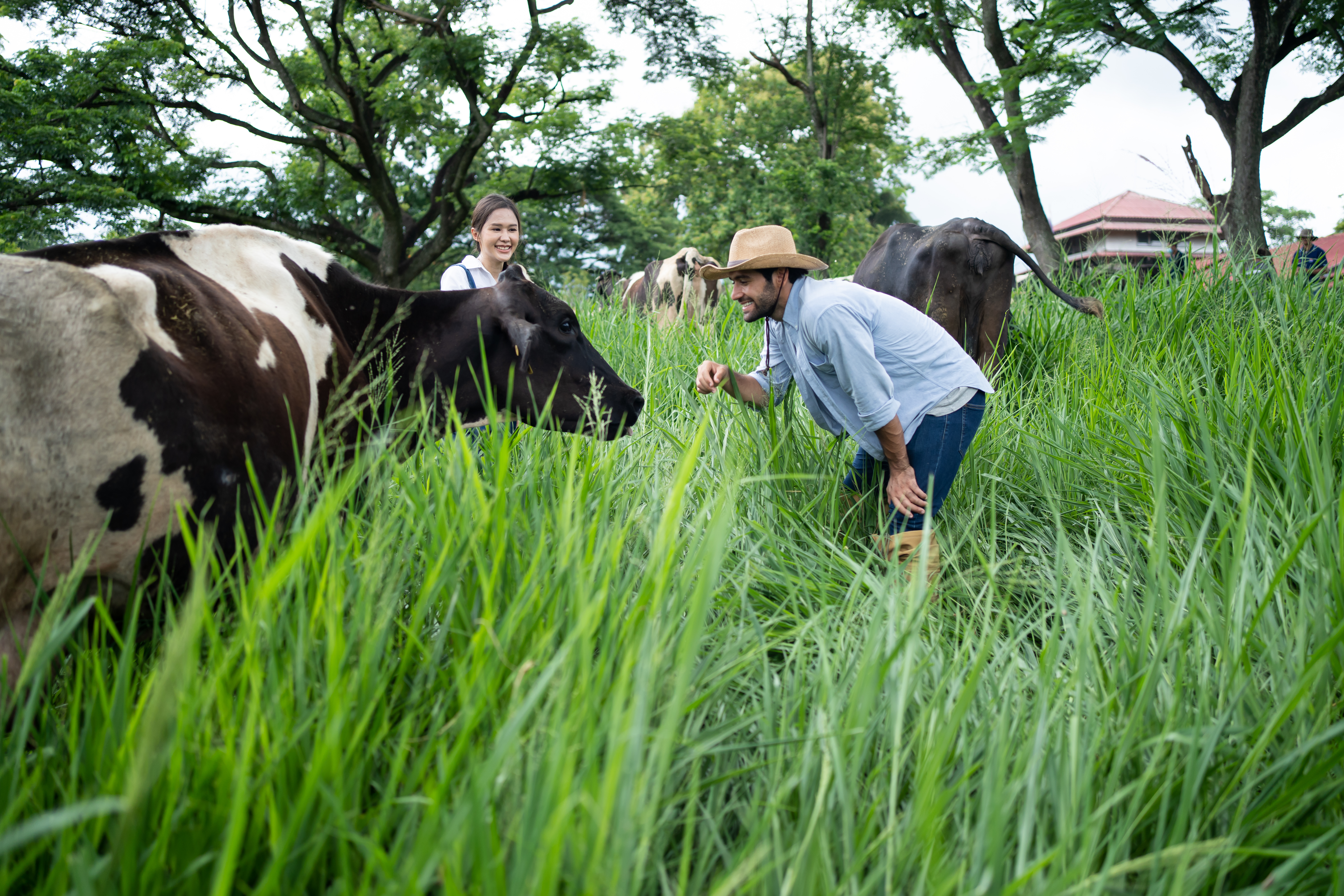 Don’t Blame Beef: Rice Farming Now Large Producers of Methane