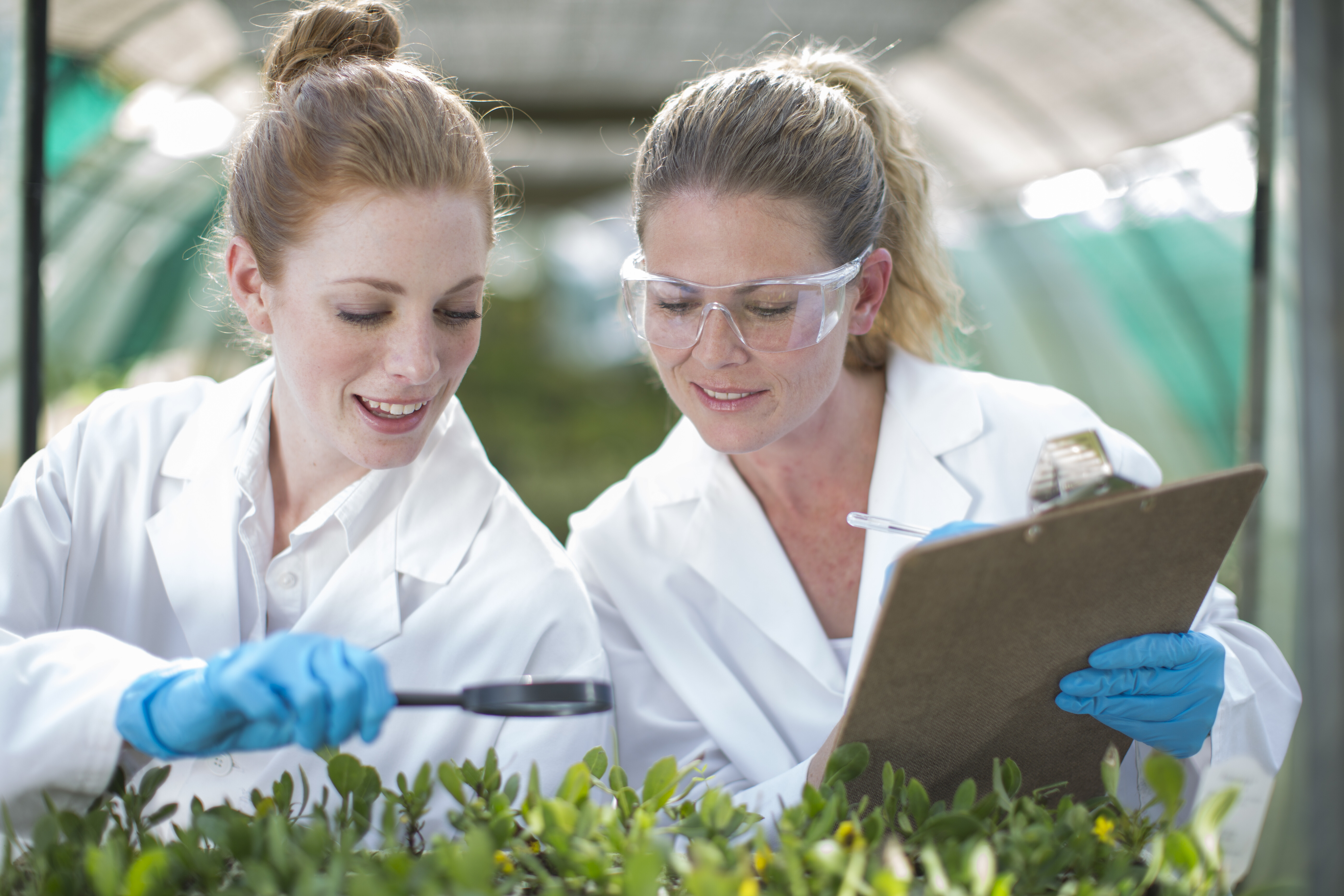 What Is Agbioscience and Where Does AgTech Come In?