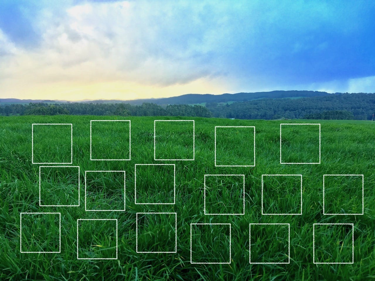 The Quadrant Cut method to measure grass: An advantage or a disadvantage?