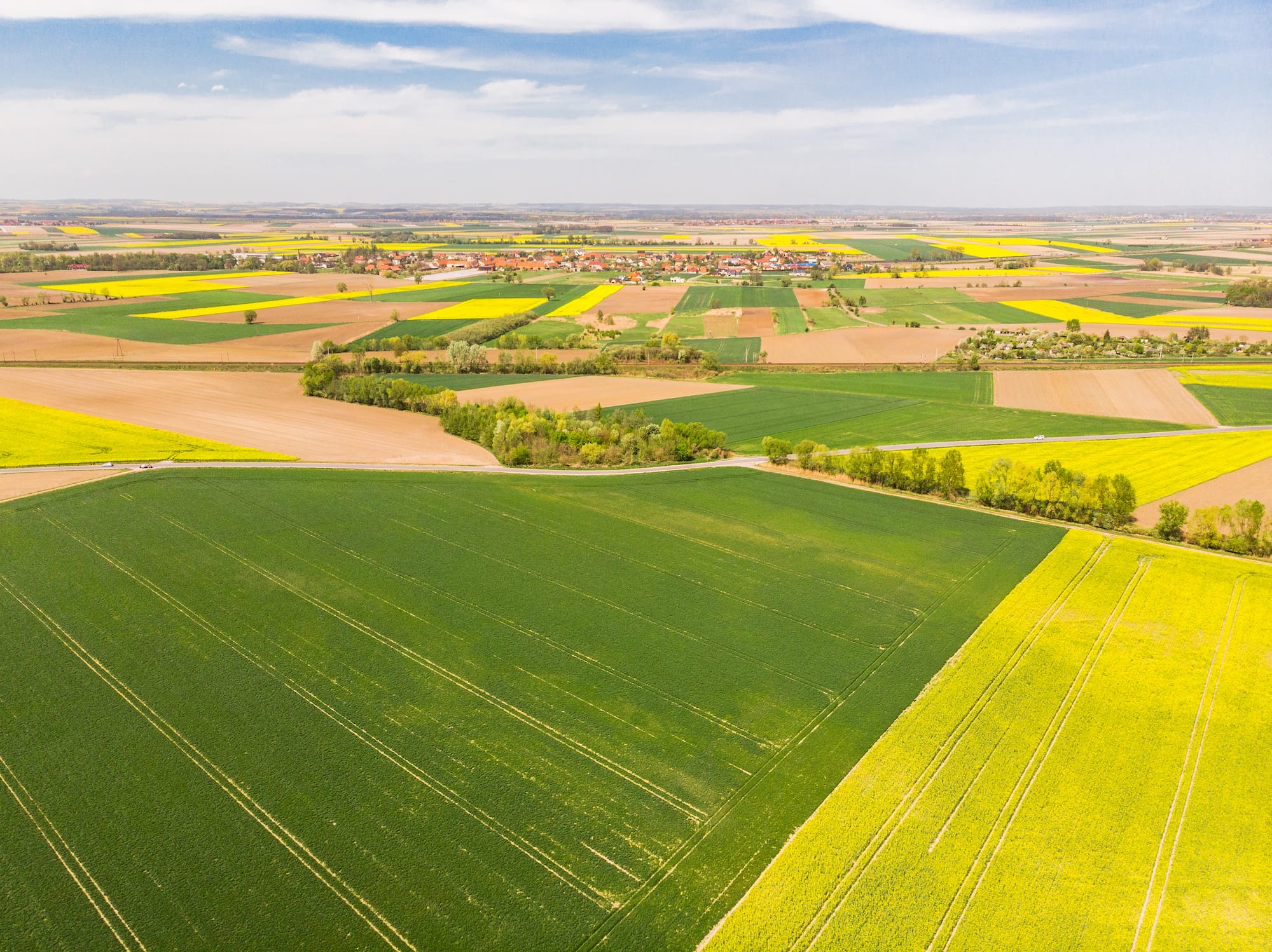 A Guide: How To Manage A farm Successfully