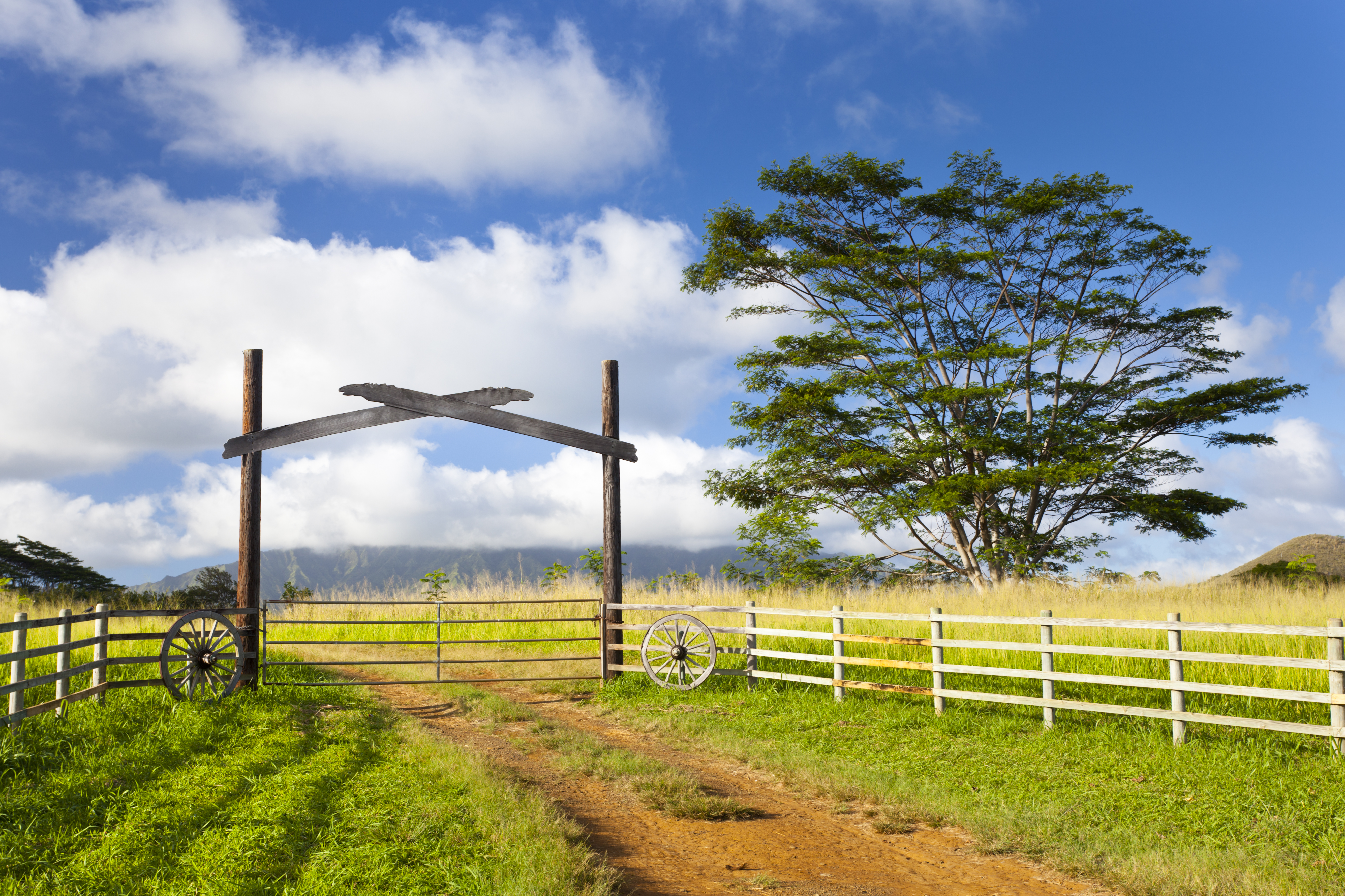 Locking Down the Borders: Livestock Movement Restrictions and Biosecurity Planning