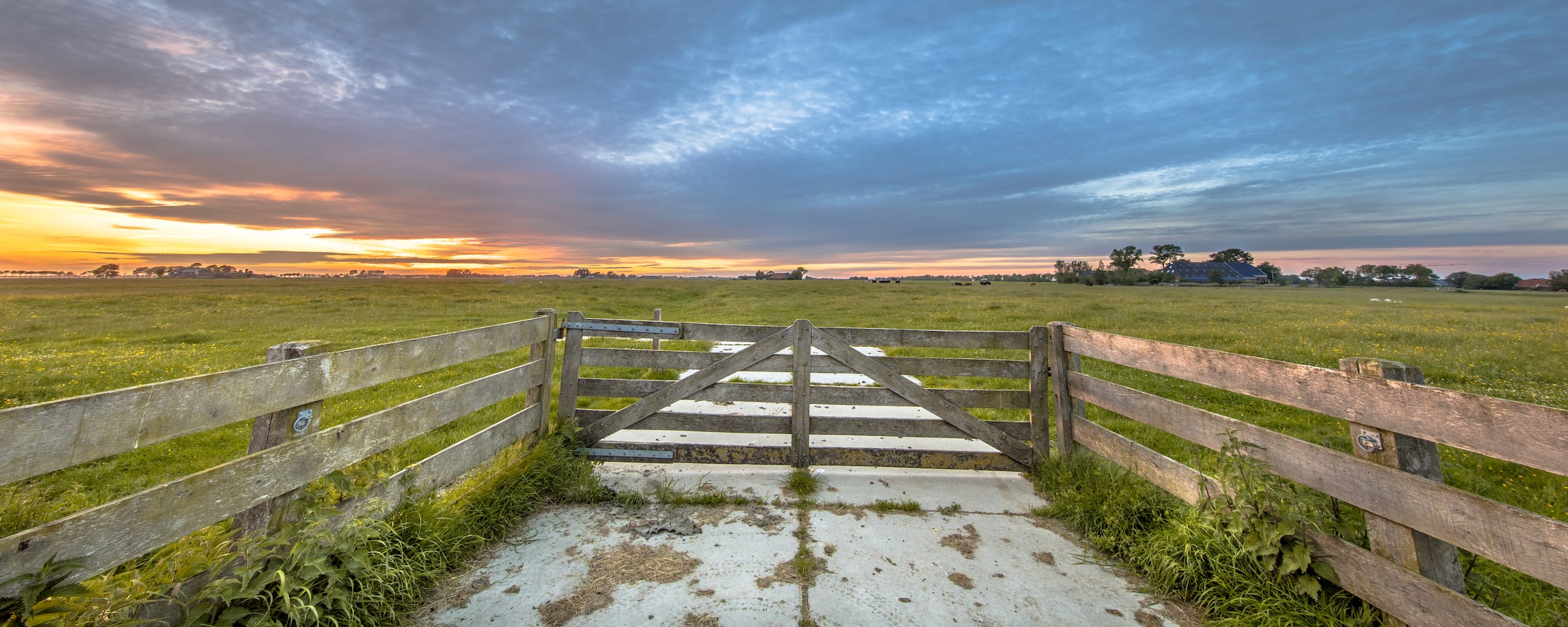 What are the five dairy farm feeding systems in Australia?