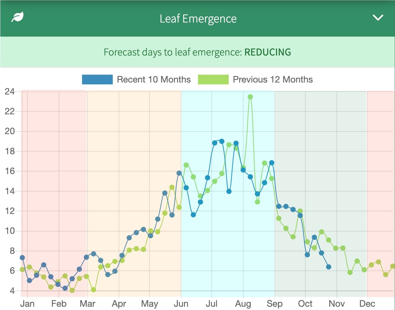 How to use the leaf stage to make grazing decisions
