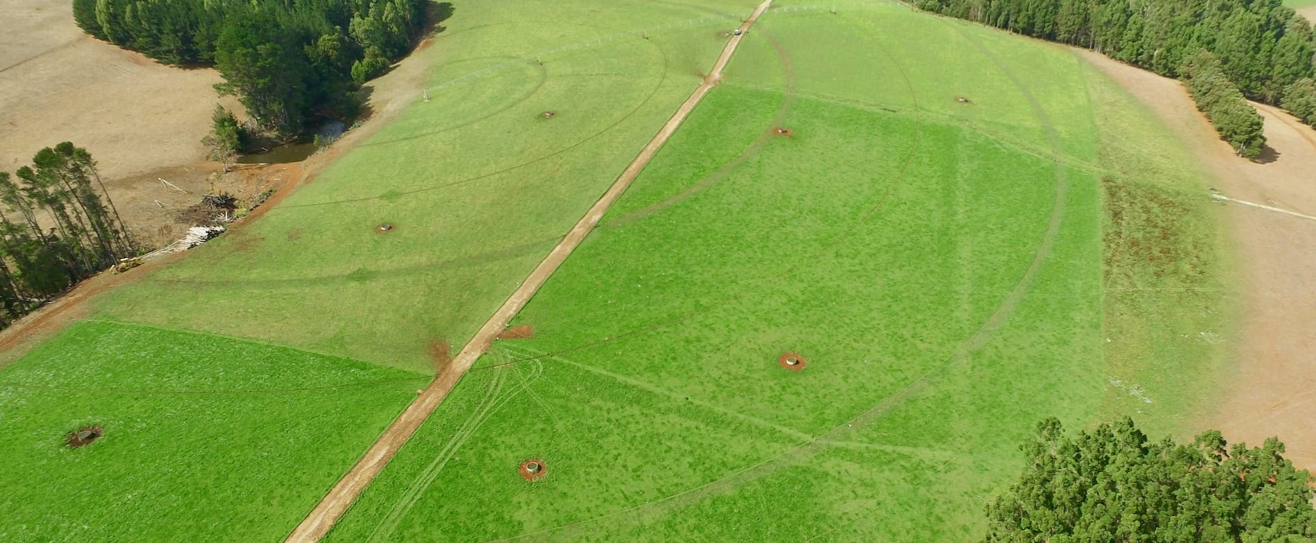 How to Set Up A Rotational Grazing System