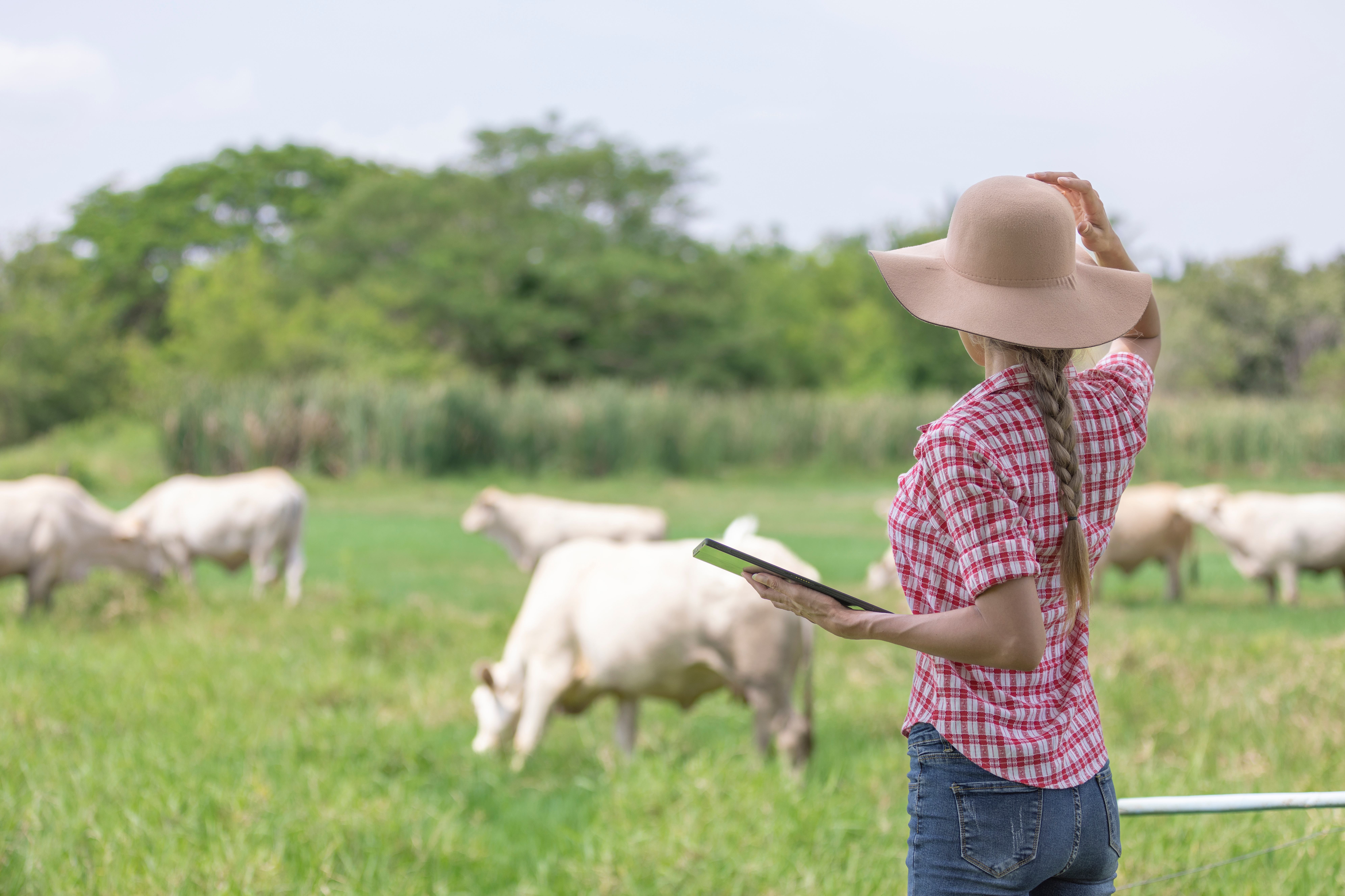 From Guesswork to Data-Driven Decisions: Essential Farm Management Practices for Maximising Productivity and Profitability