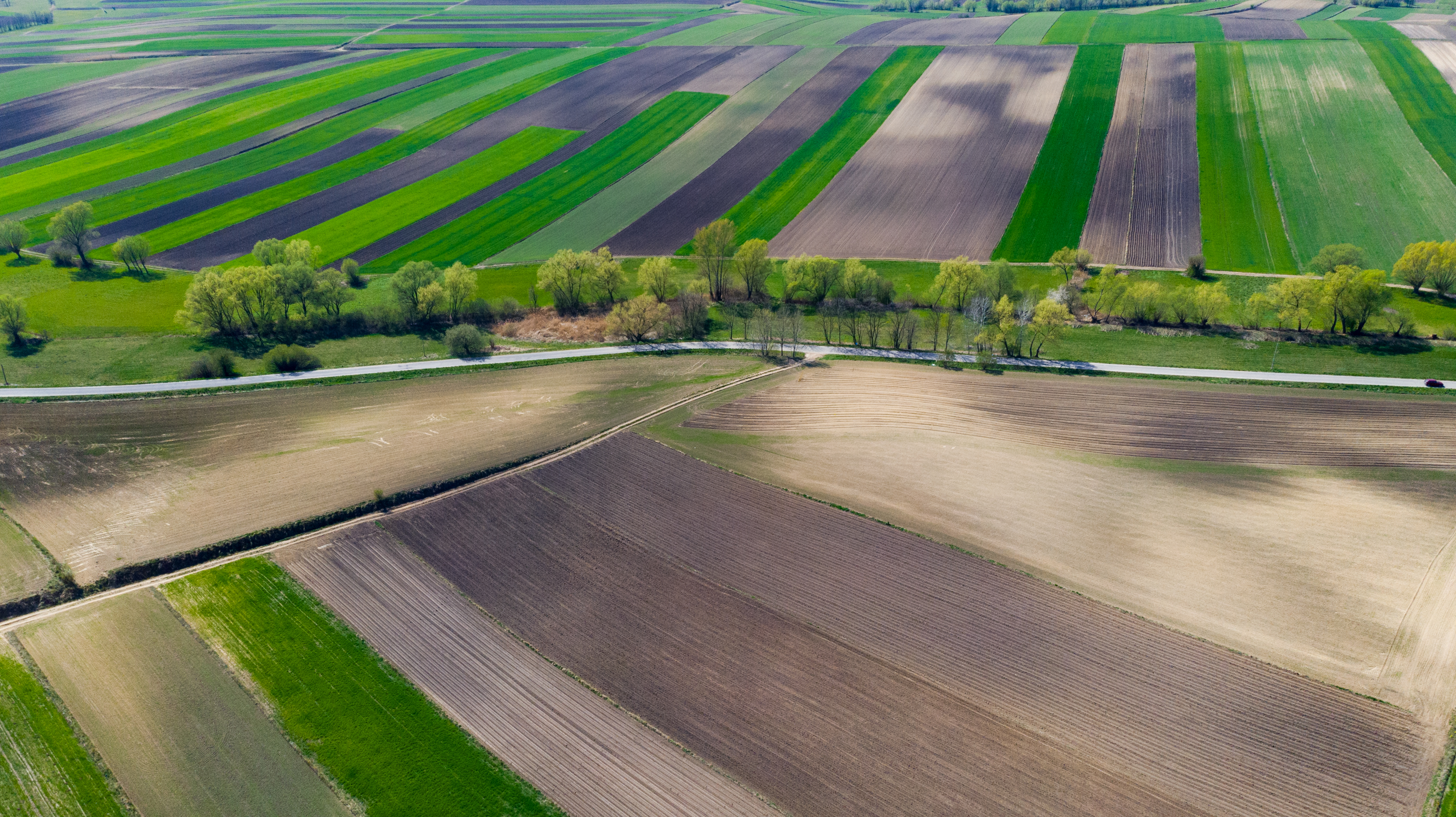 Farm Management Techniques: How To Take Control Of Your Farm With Our Top Tips