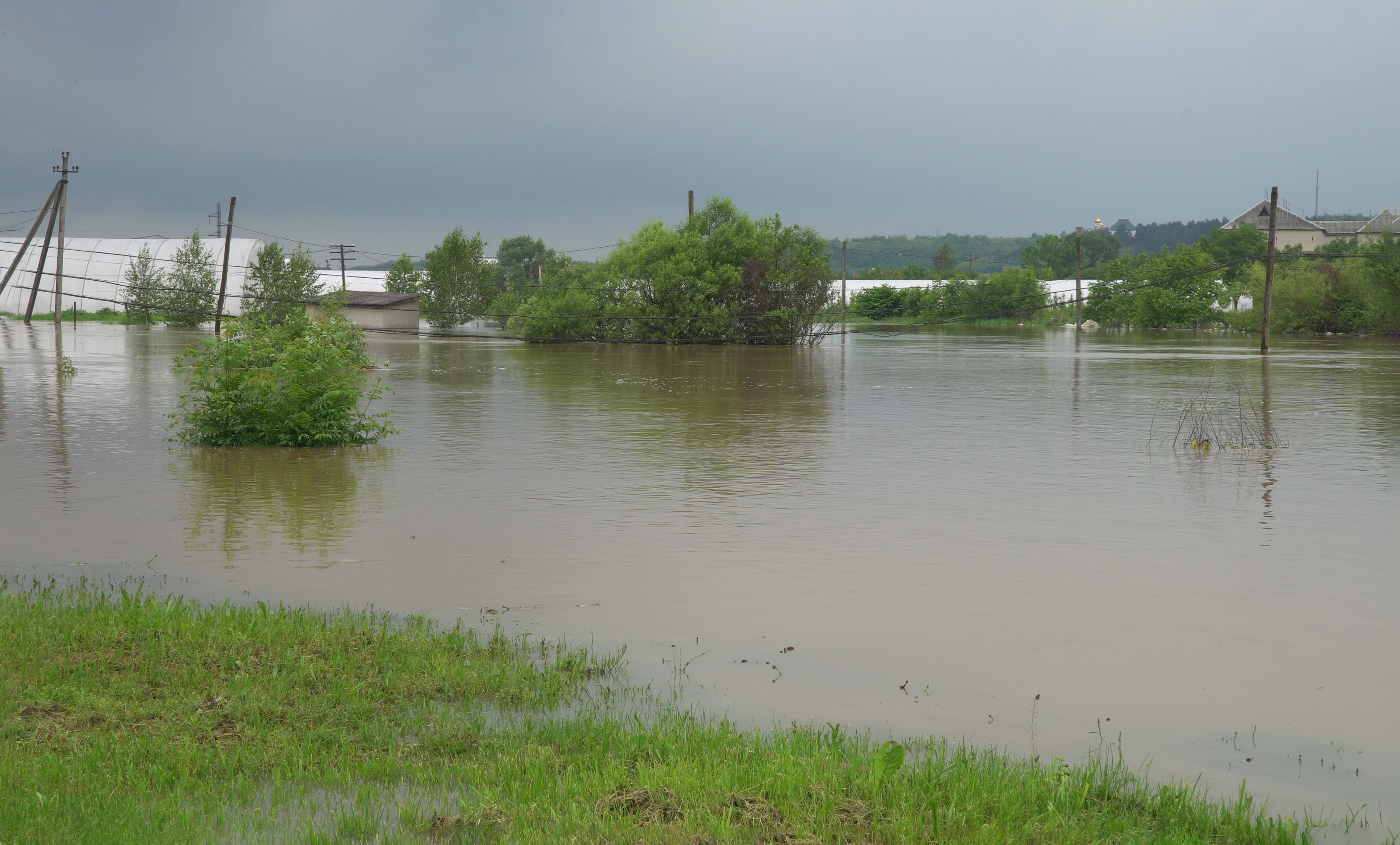 Farming After Flood: How To Manage Your Land Effectively