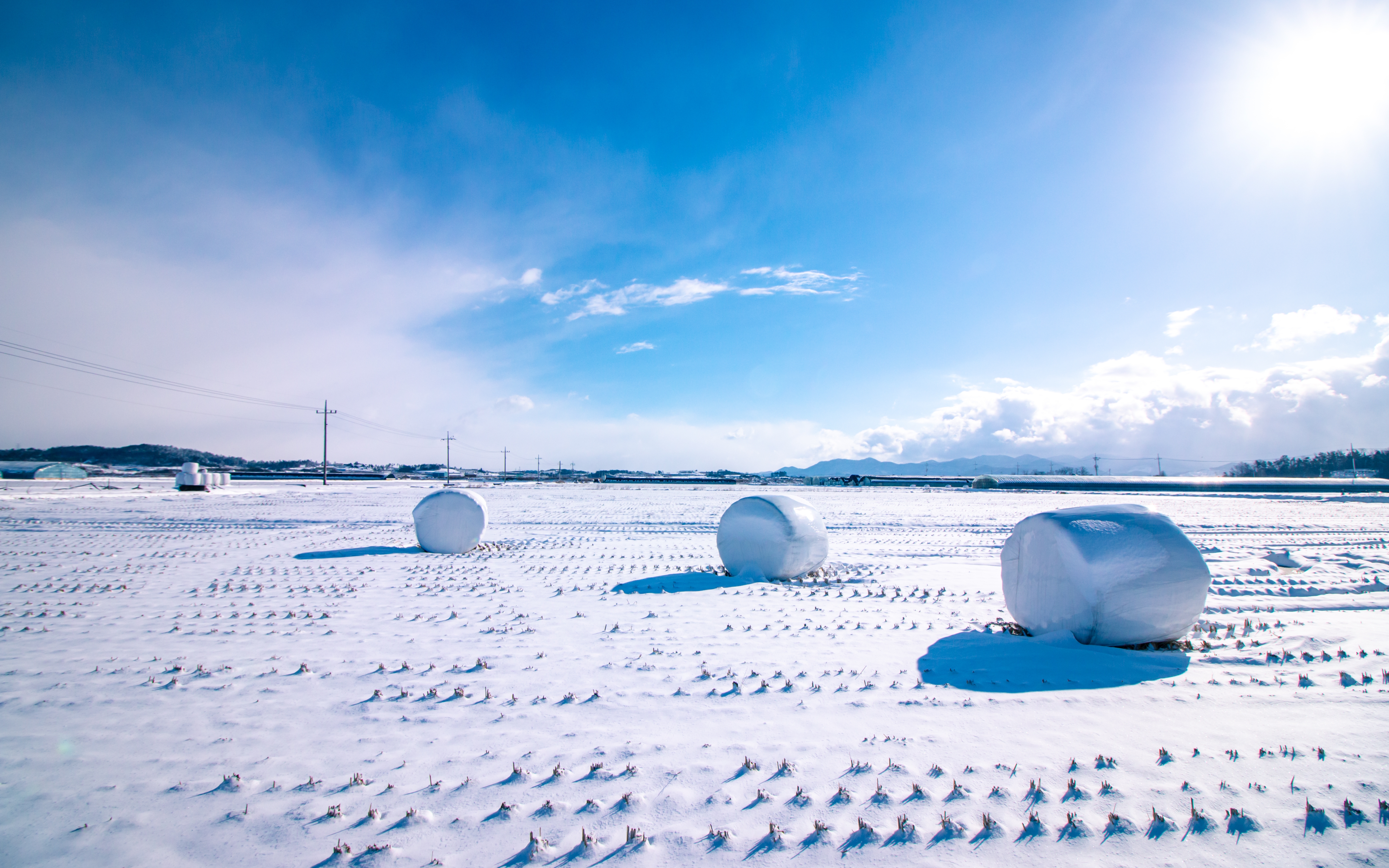 How to Farm After Snowfall: Manage Your Land Effectively in Extreme Weather Events