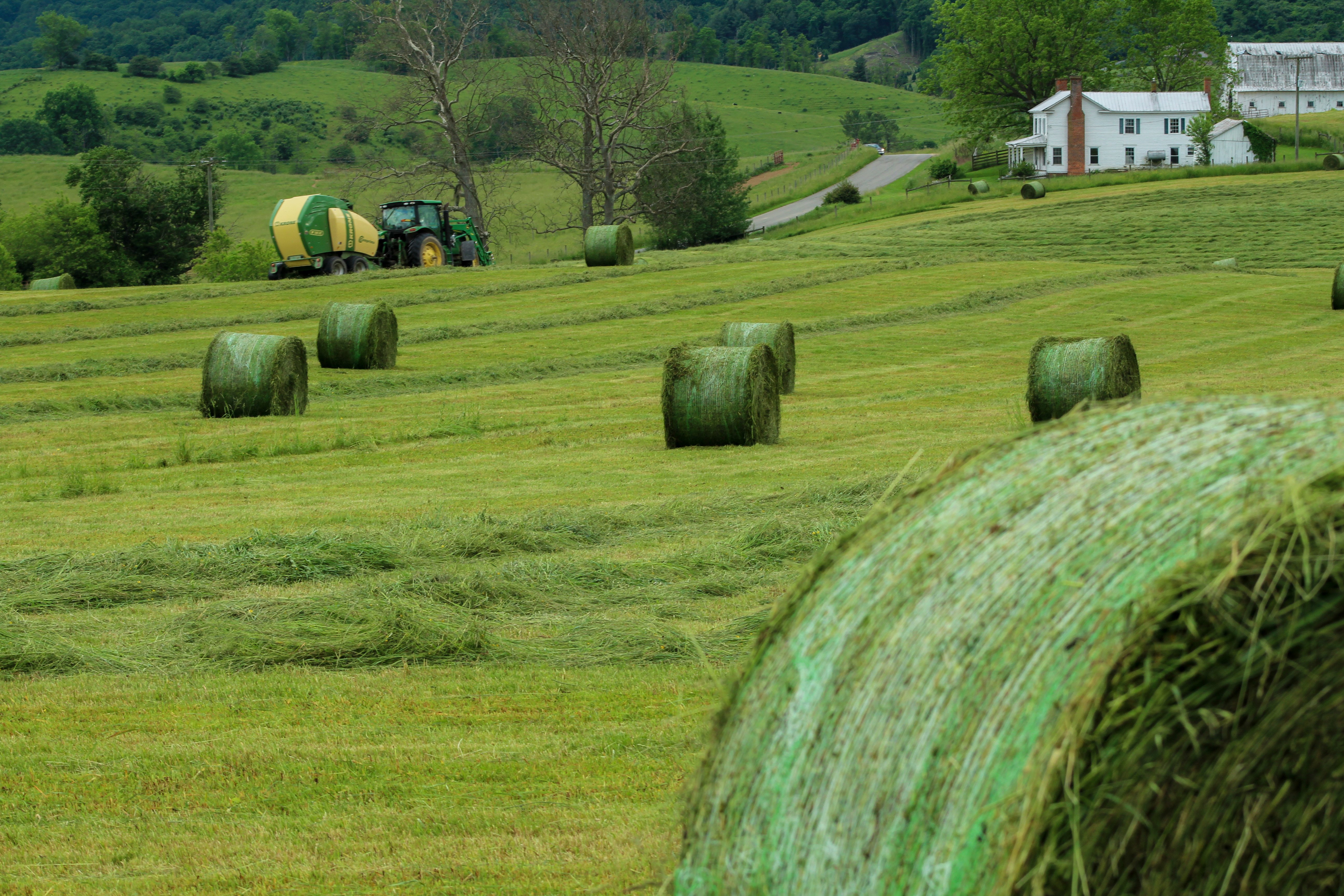 Can You Grow Your Own Fodder From Pasture?