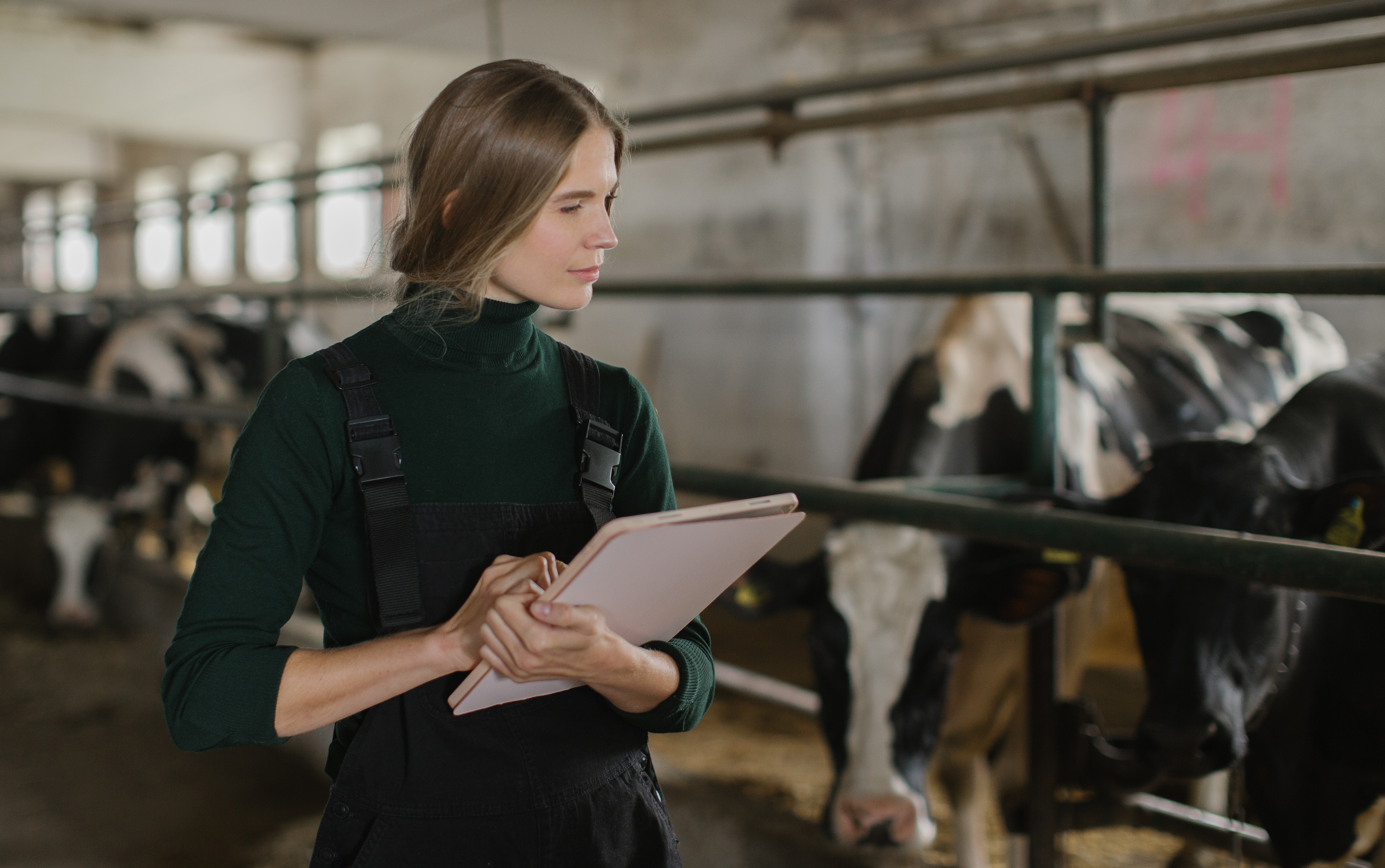 Europe’s milk price squeeze: what farmers can control when the market can’t