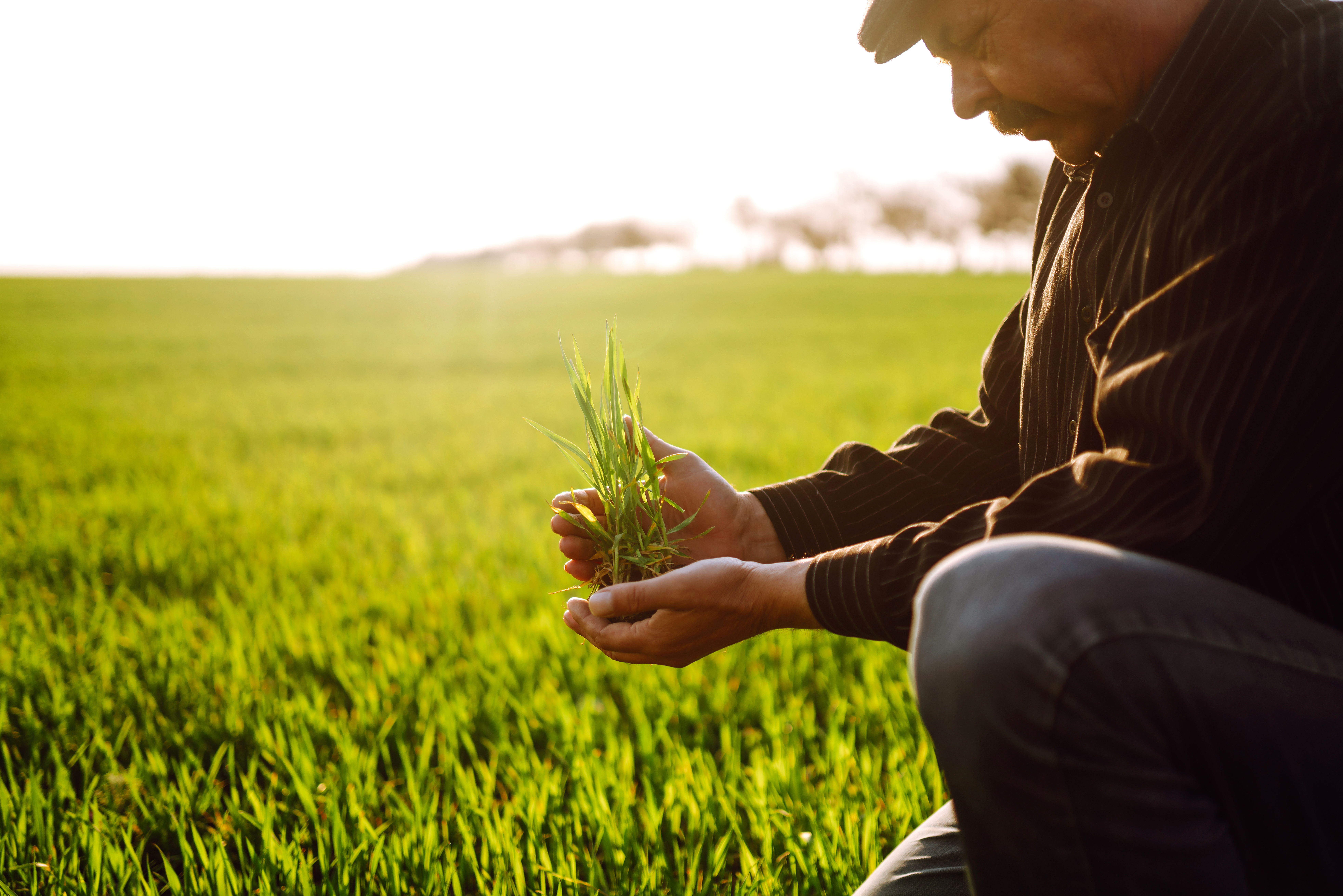 “A Game Changer”: What Farmers Are Saying About Pasture.io’s Groundbreaking AgTech & Pasture Productivity Solution