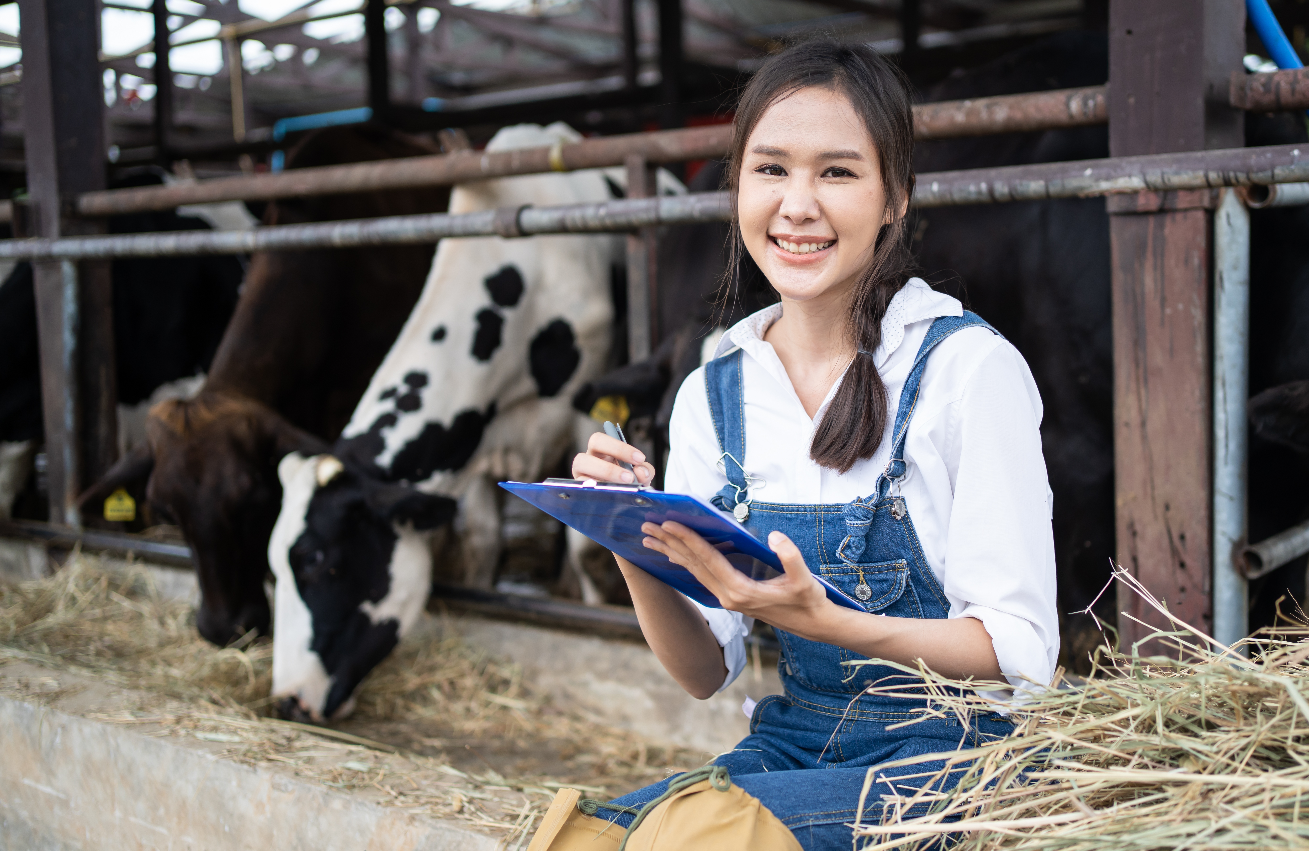 Milk price moves: how to stress-test a pasture-based budget when the forecast shifts