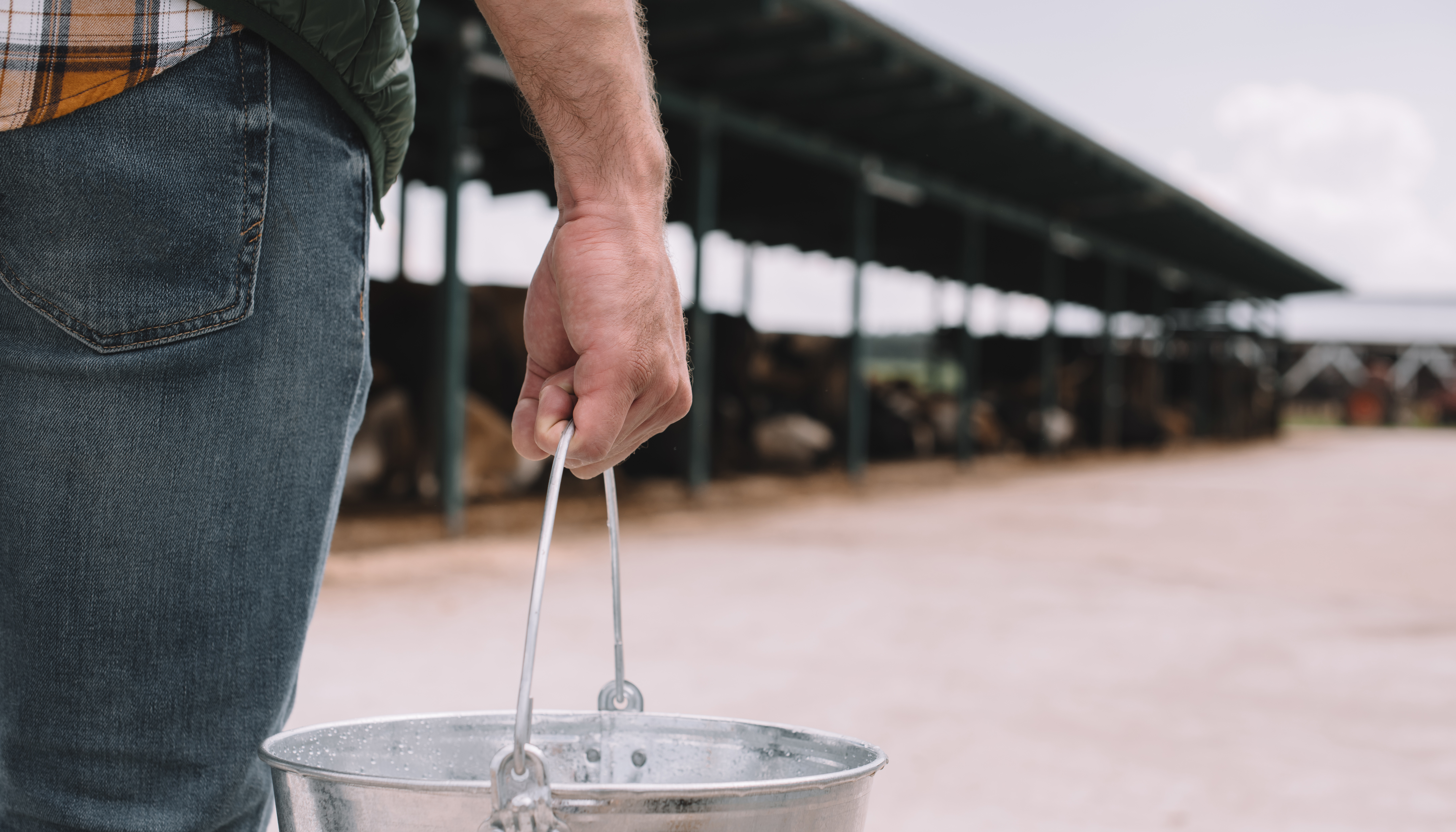 Keeping Water and Feed Clean in the Paddock: Practical Biosecurity Measures