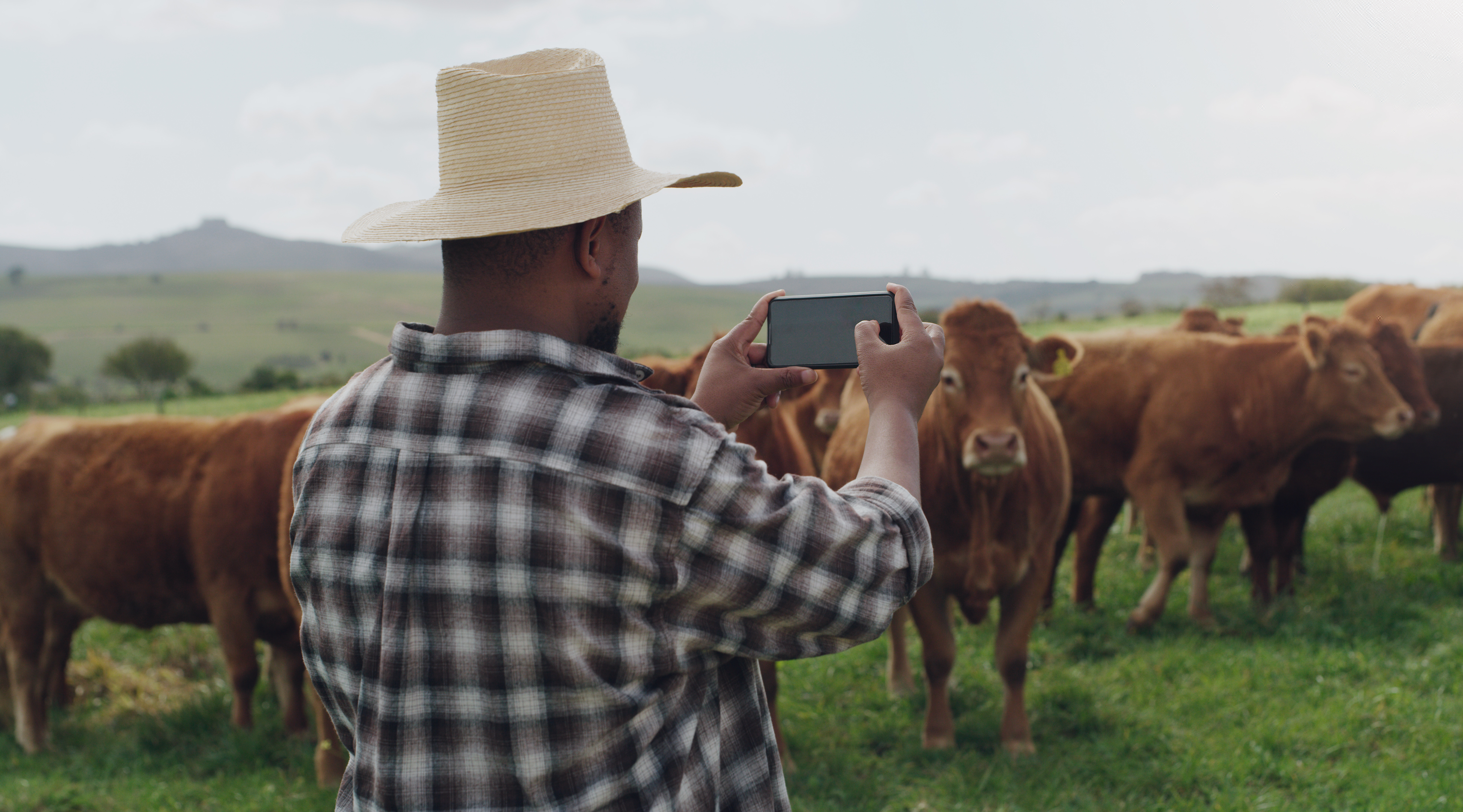 Top Global Farming and Grazing Apps & Why Pasture.io’s Pio Stands Out