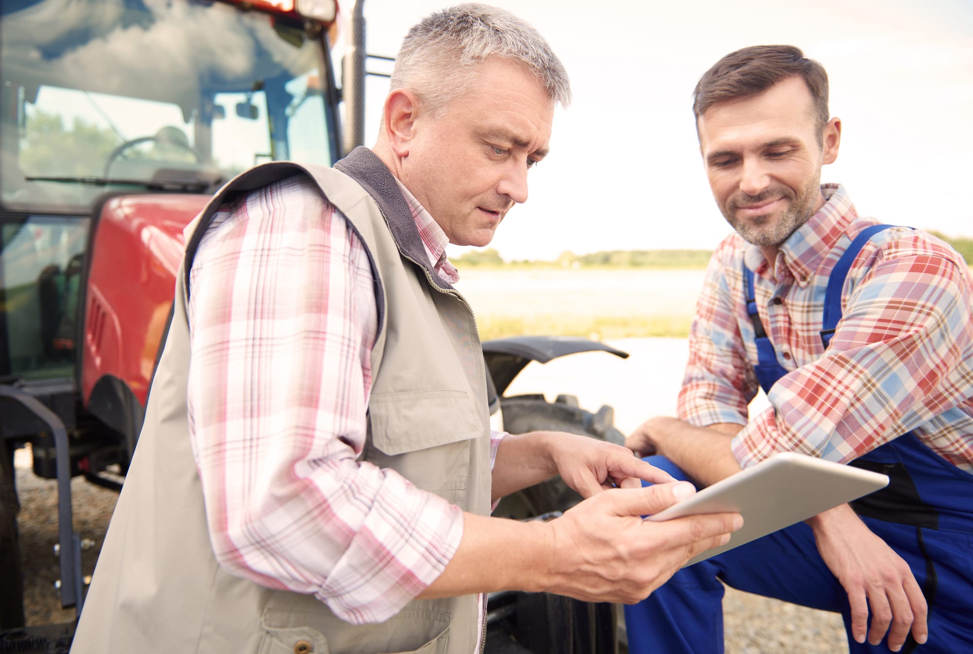 Maximise Profits; Grow More Feed in Your Pasture