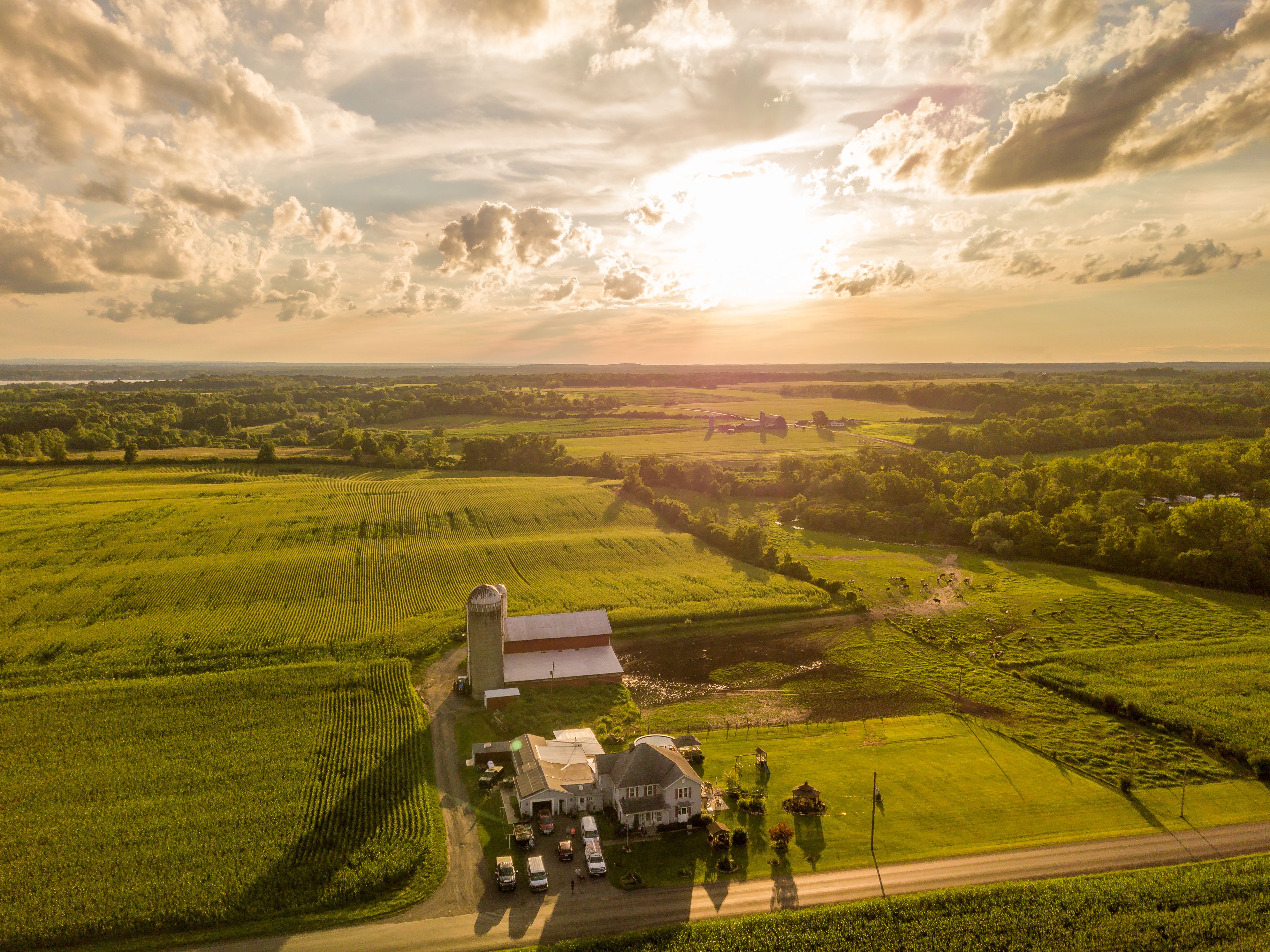 The Basics of Farm Management: From Key Practices to Farm Management Deposits