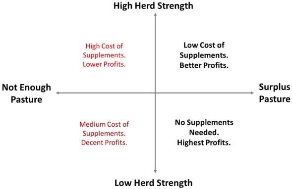 Maximise Farm Profitability with Supplements