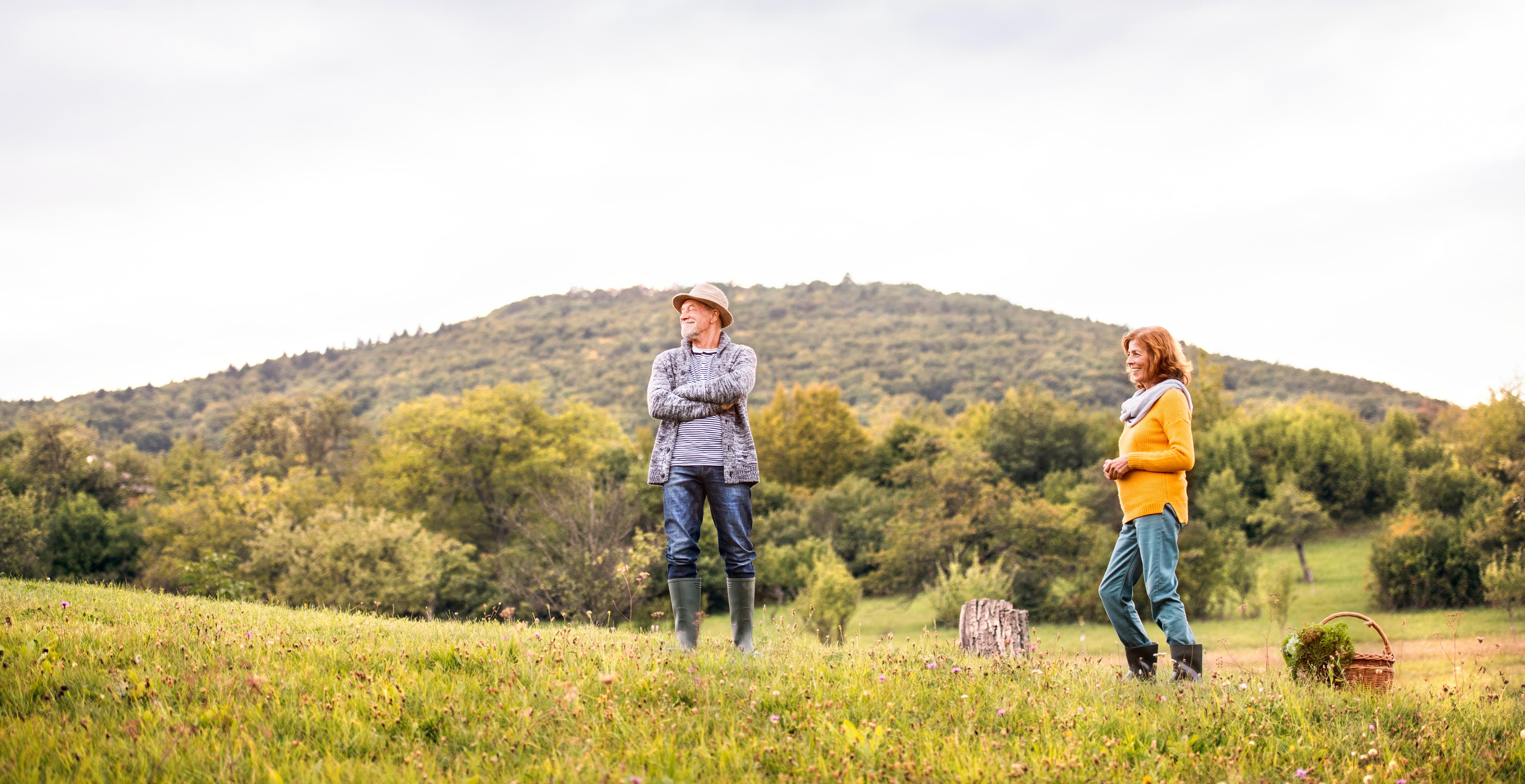 Practical Tools and Techniques to Manage (or Mow) Pastures Against Head Formation