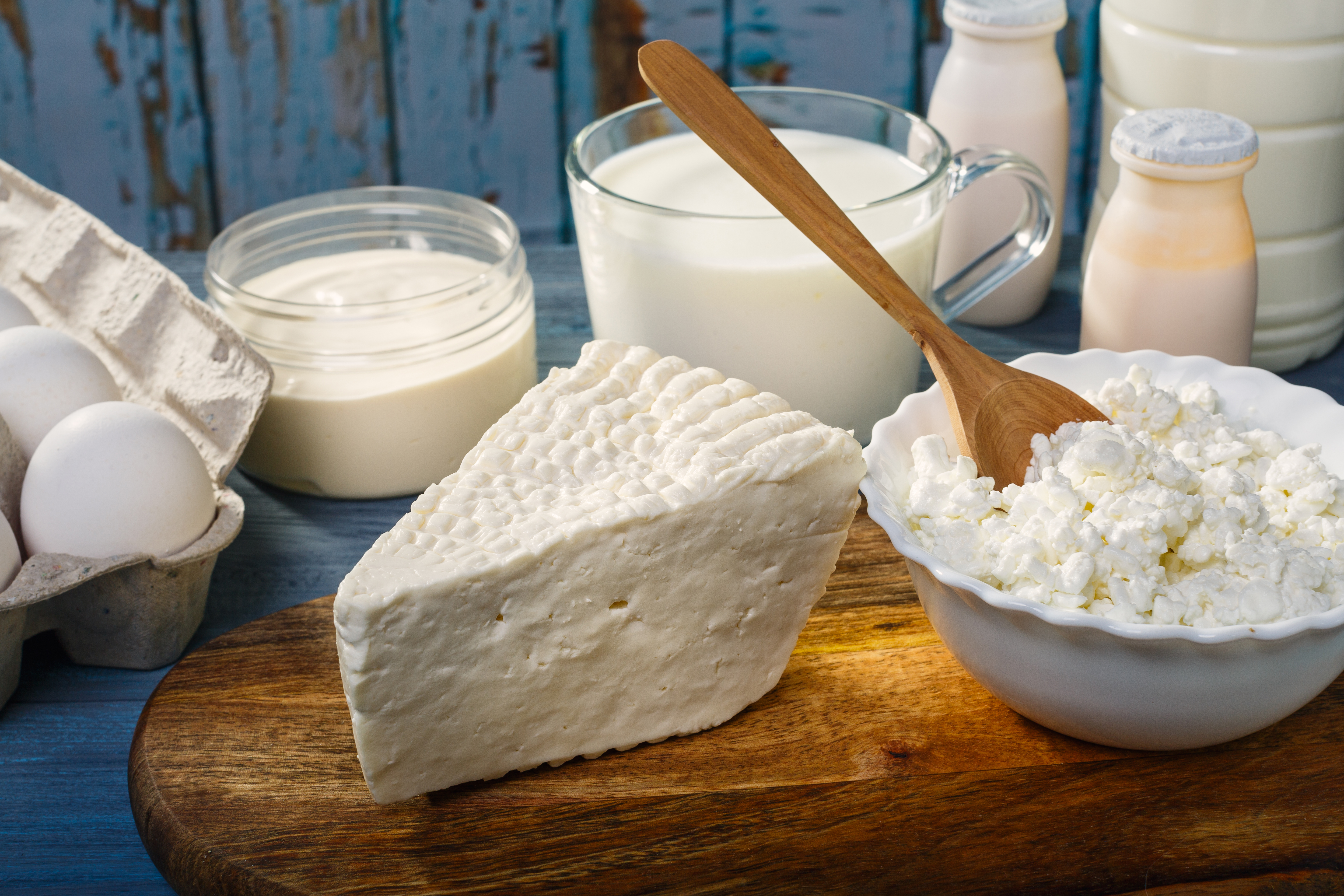 The Cream of the Crop: Which Country Is Best For Dairy Farming?