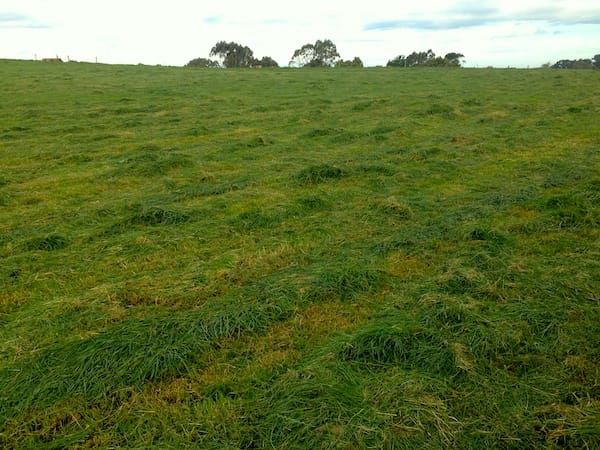 Topping Pasture: is it worth it?