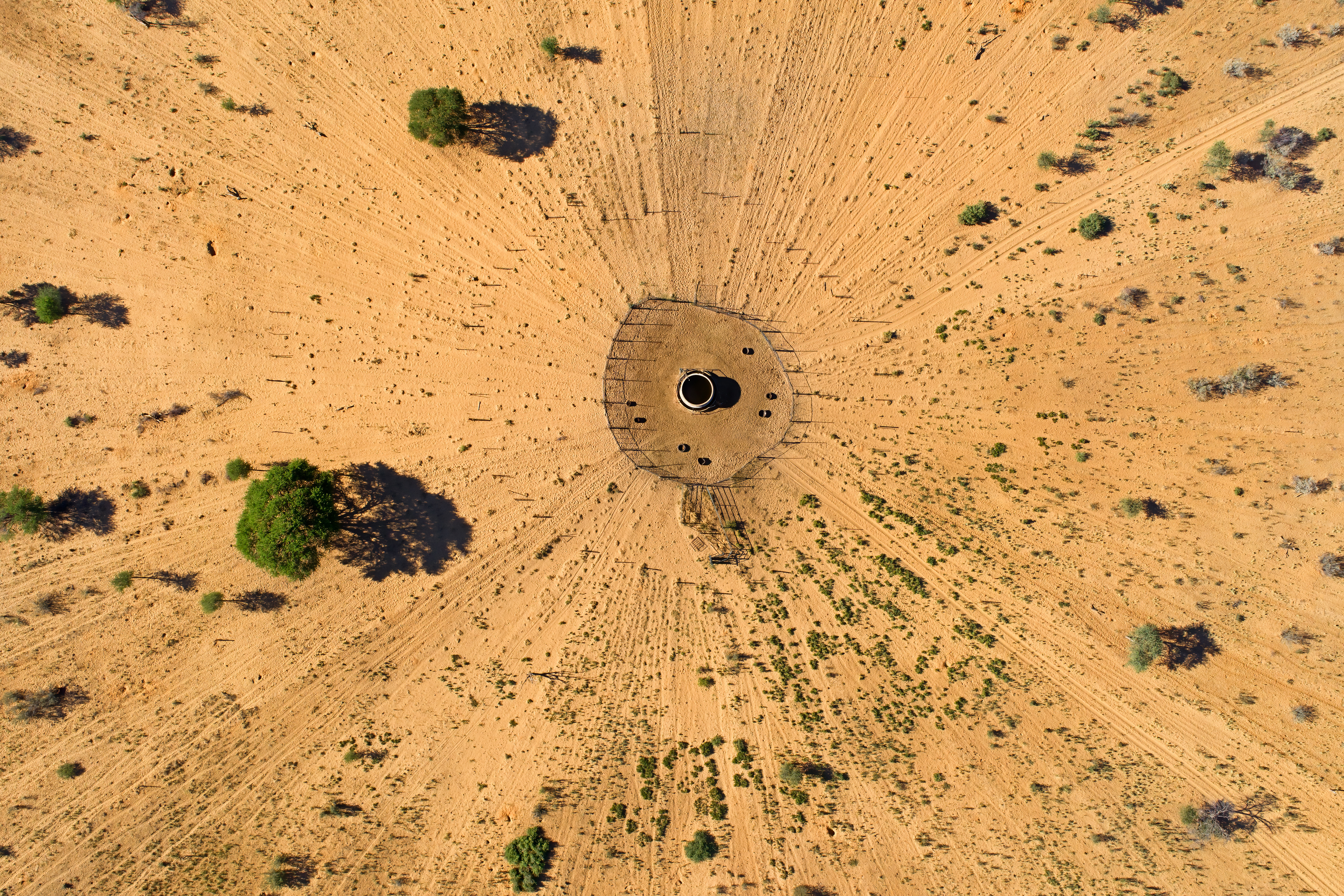 Range Management vs Pasture Management: It’s Not One or the Other – Part 2