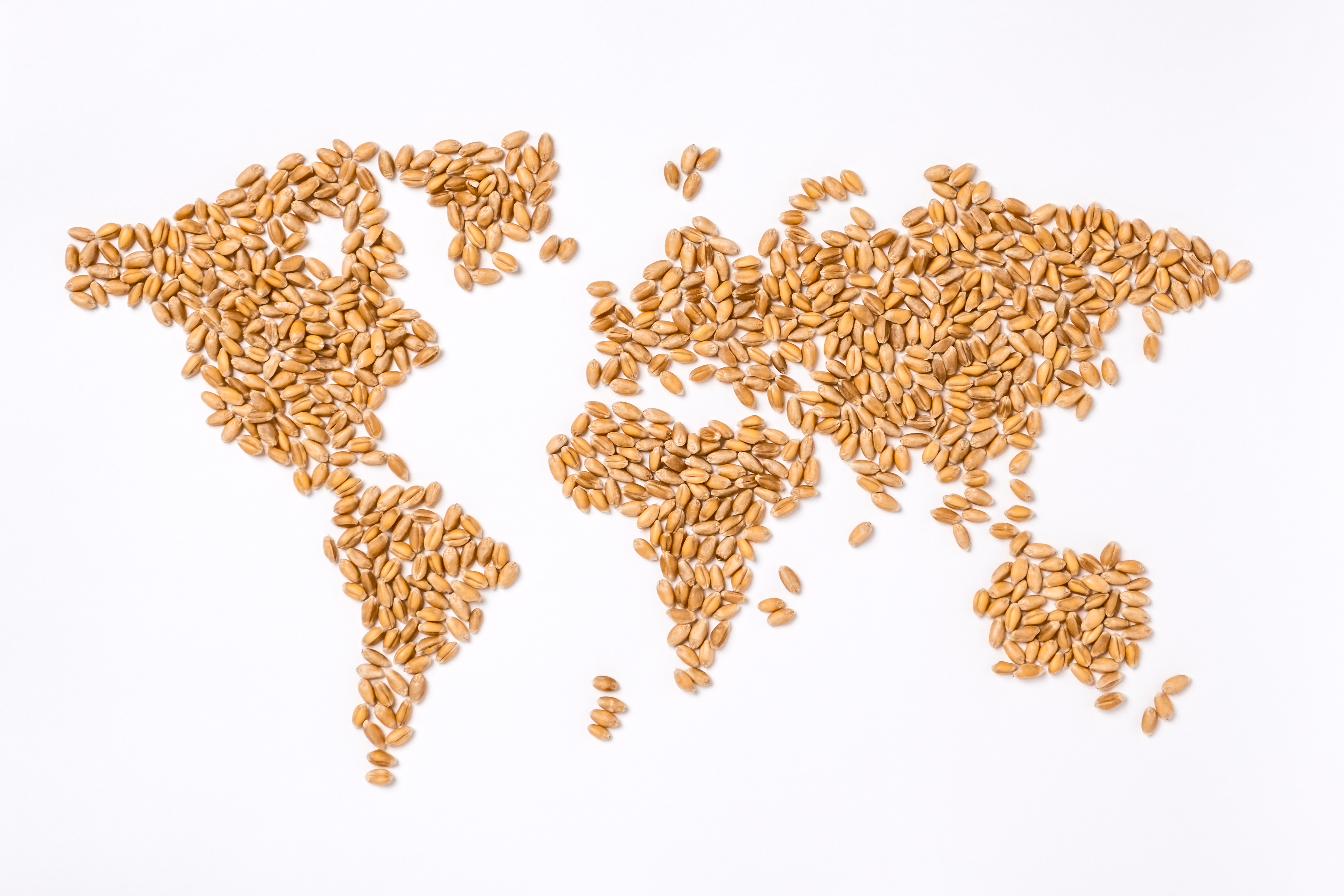 Farming Developments And Technology Are For Everyone: How Adopting AgTech Can Help Fight Global Poverty And Famine