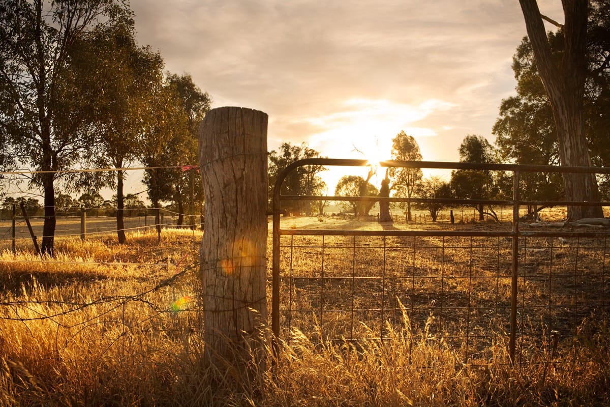 What are the types of farms you can manage?