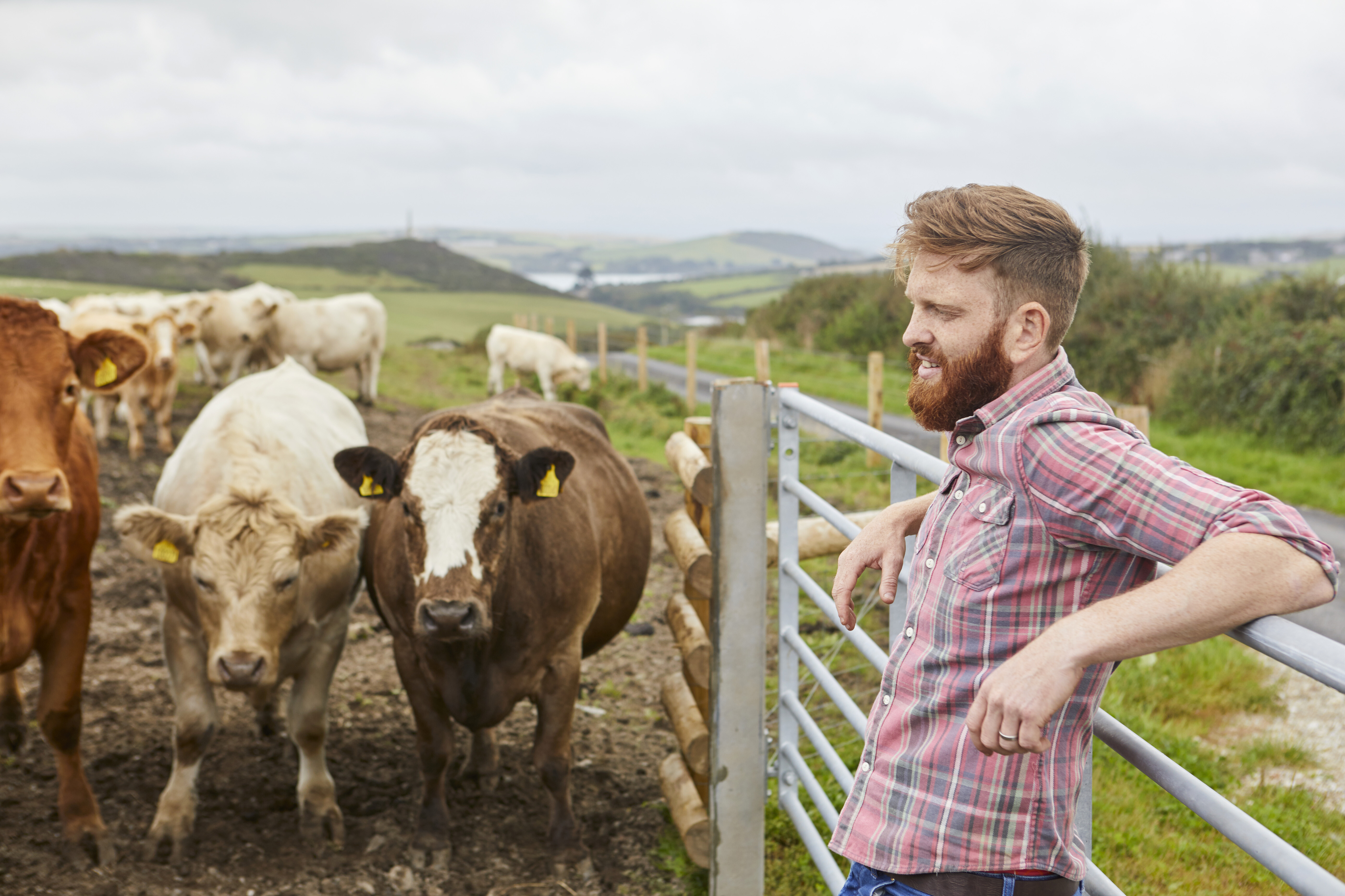 What Are The Most Sustainable Things You Can Farm? Here Are Our Top 5.