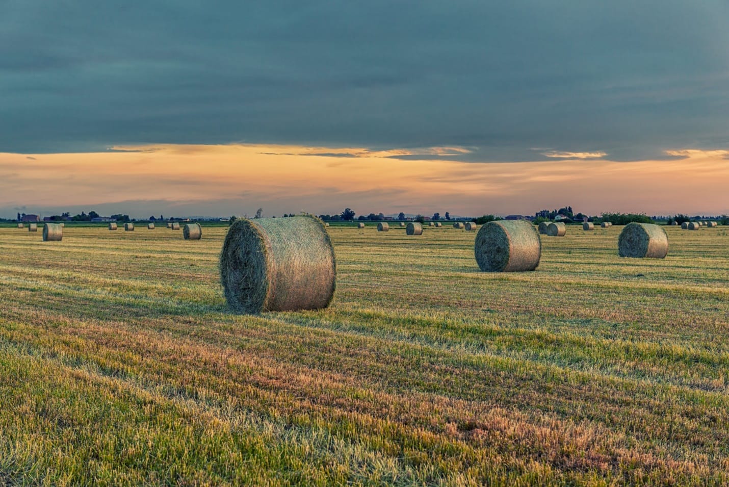 Notes on Harvesting Forage for Silage