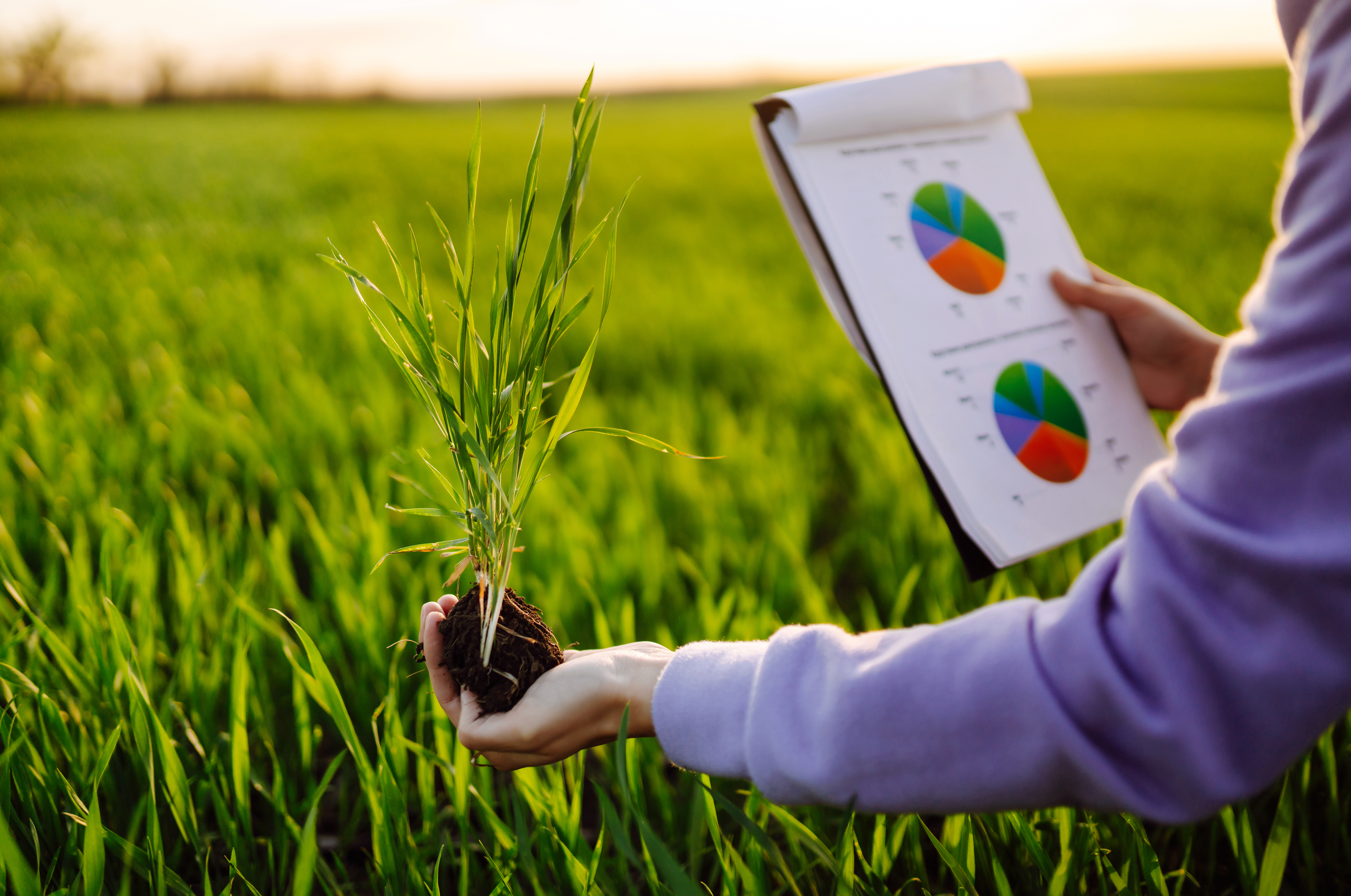 Data-Driven Farming: If You’re Not Doing It, This Is Why You Need To Start