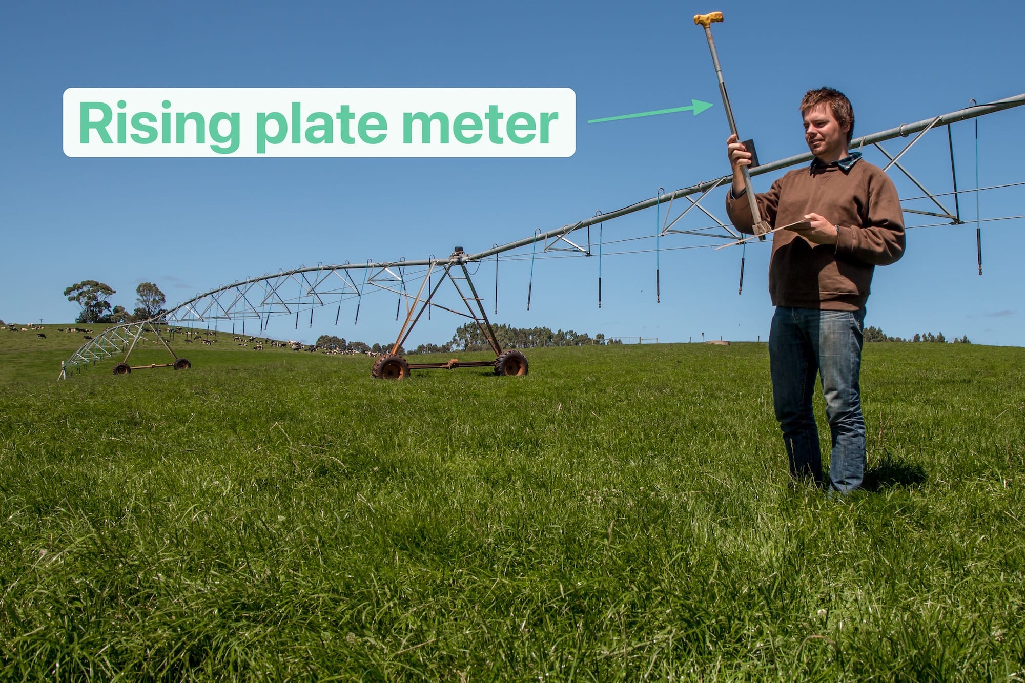 All About Rising Plate Meters