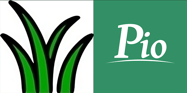 Pasture Coach ITC vs Pasture.io