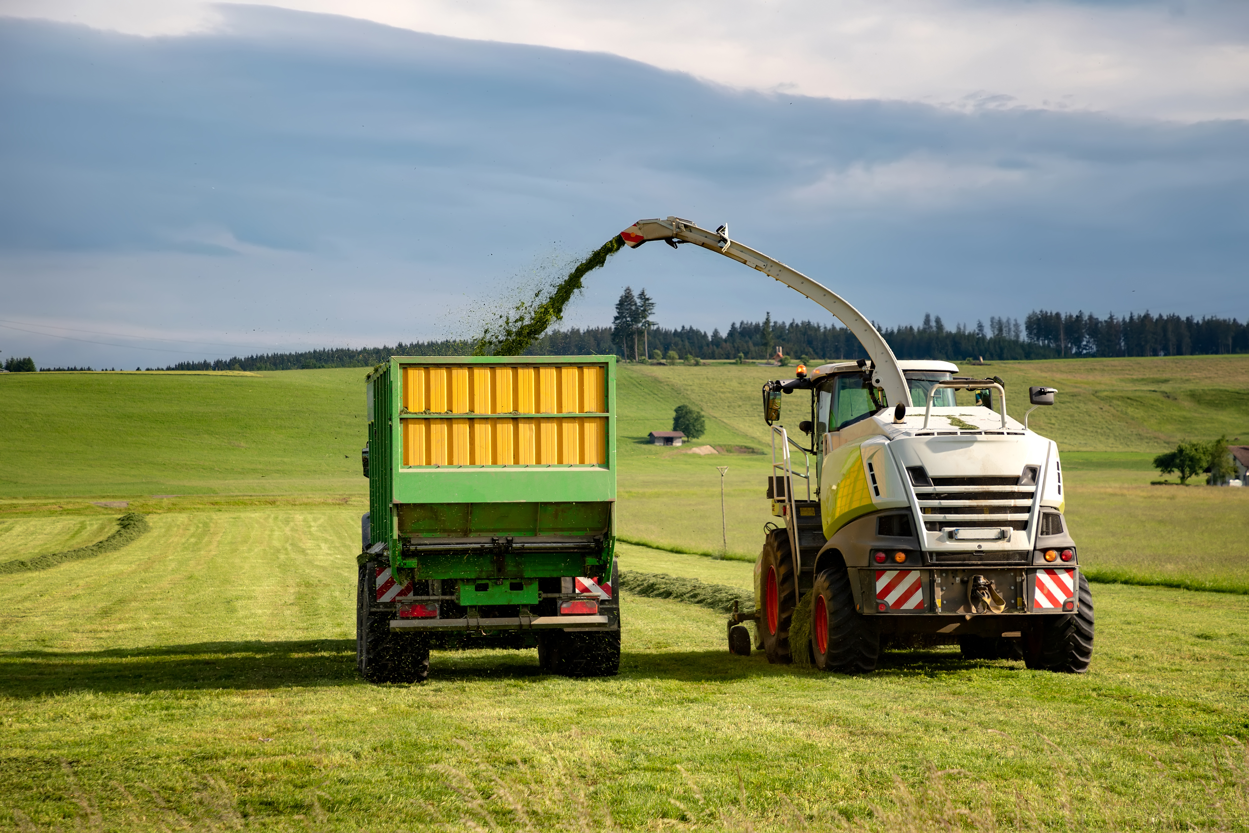 The Right Time For Harvesting Silage