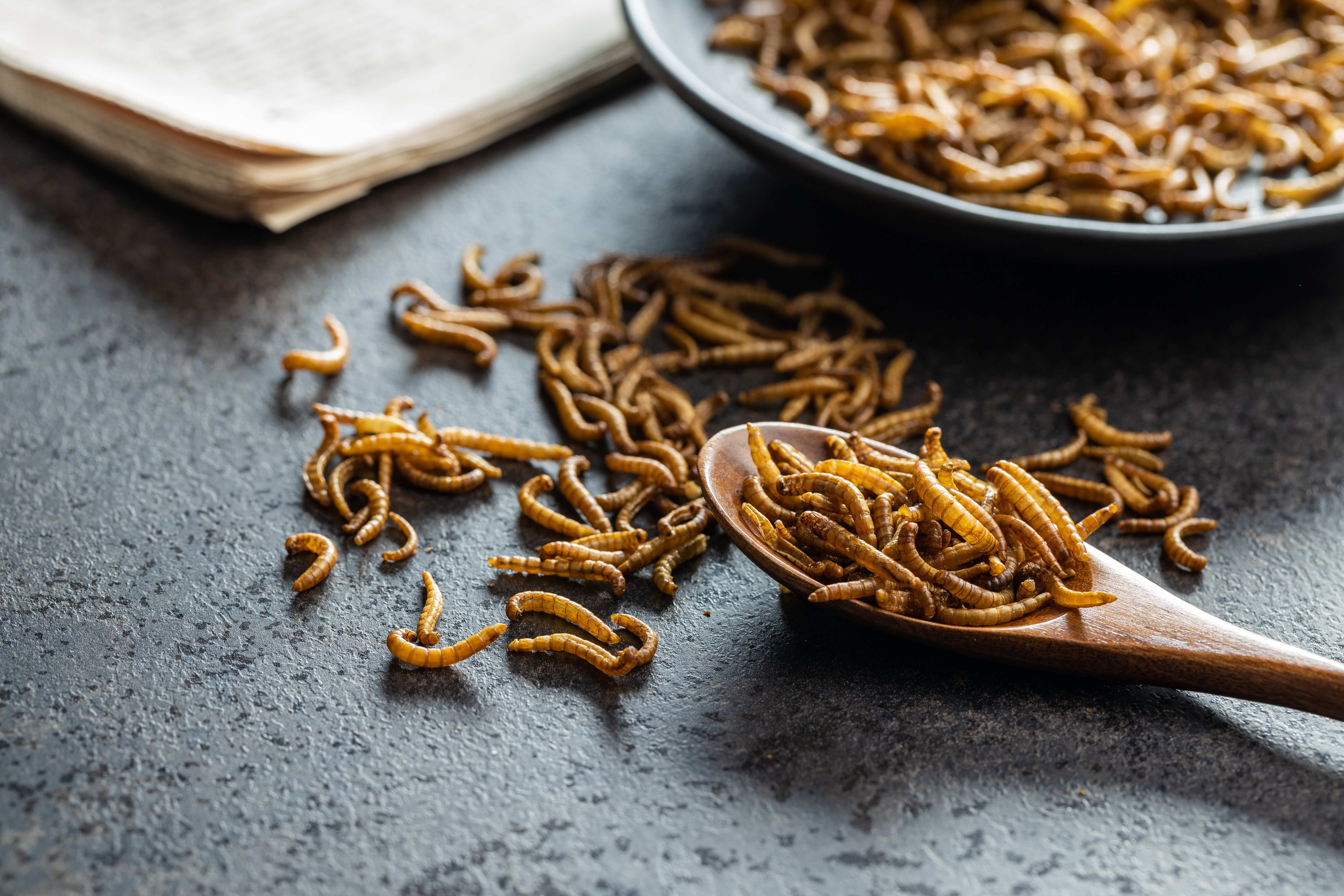 Robots & Maggots: World-First Pilot Turns Food Waste To Farm Fodder