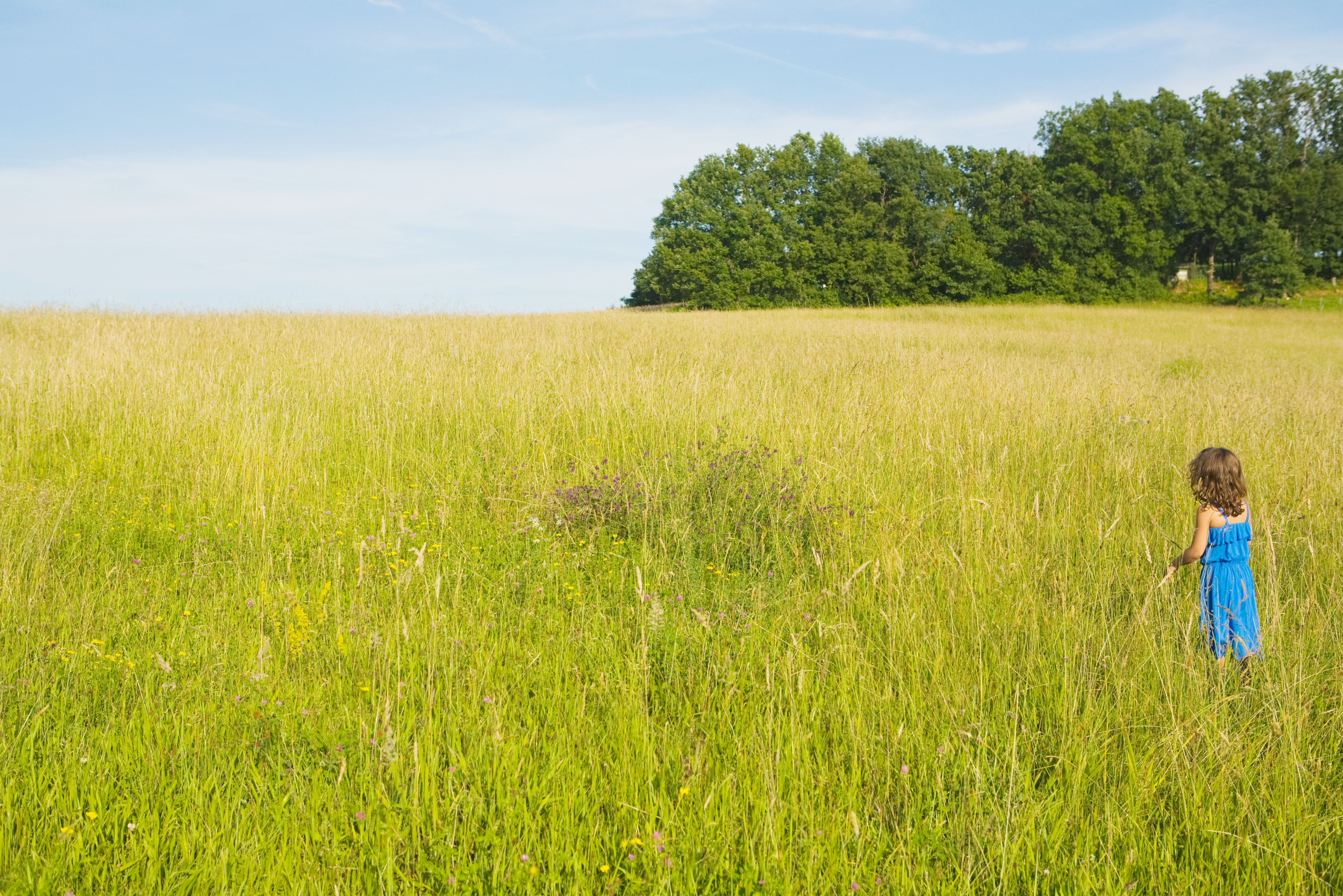 Forage Forecast For Success: How To Get The Most Out of Your Grazing Management Plan