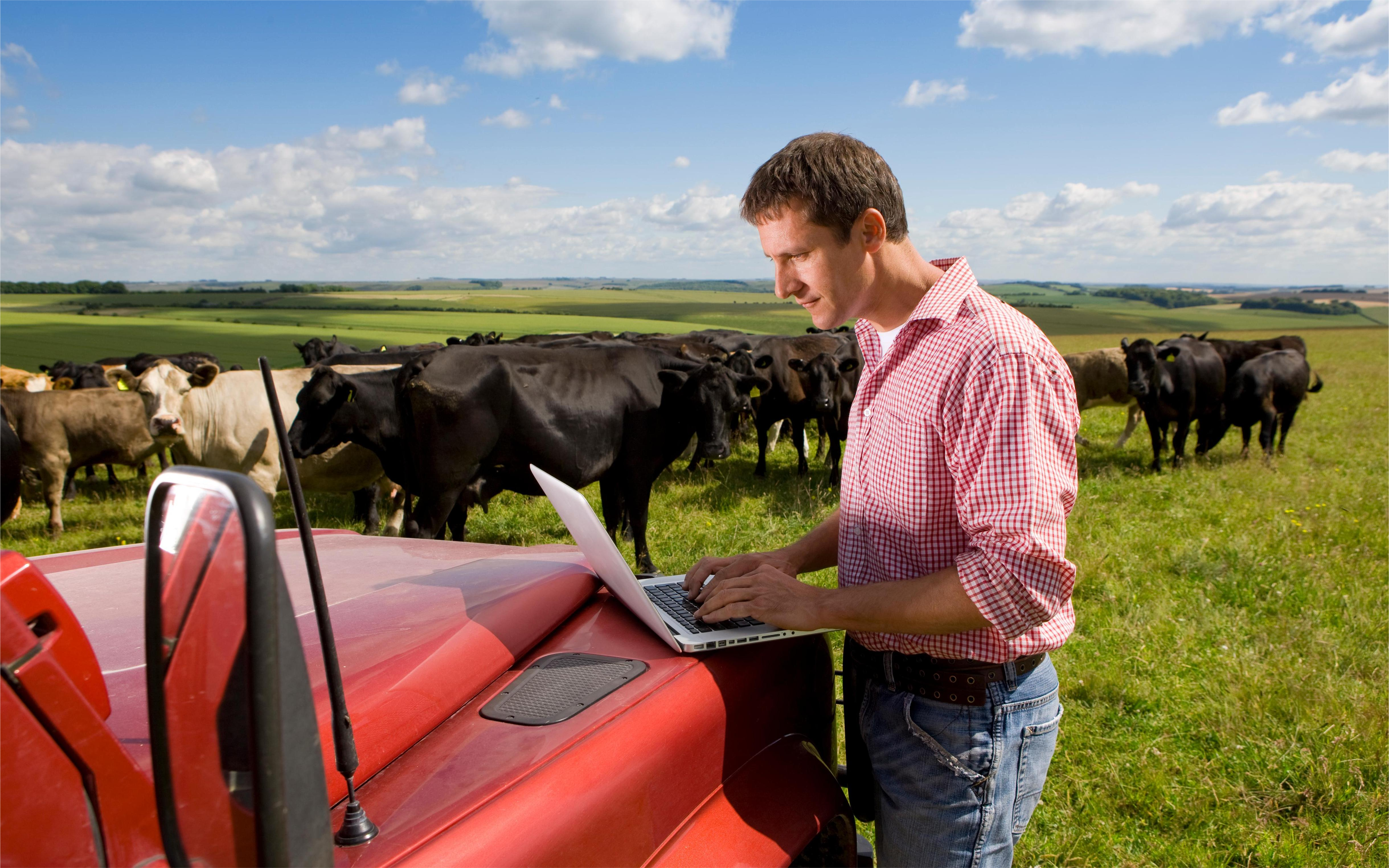 AgQuip 2025: The 5 grazing-farm upgrades most likely to pay back fast
