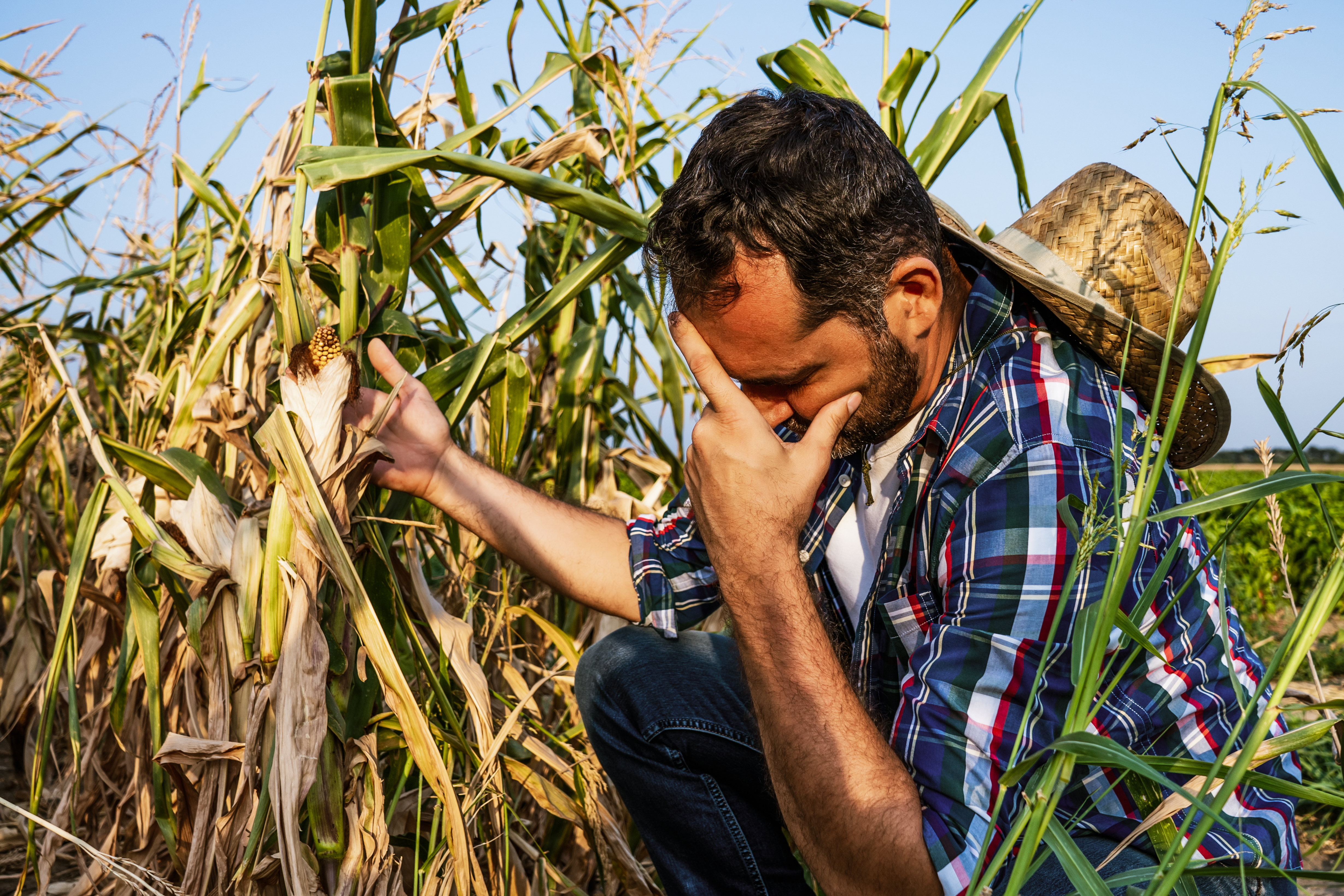 Soaring production costs and uncertainty key reasons for decline in farmer mental health