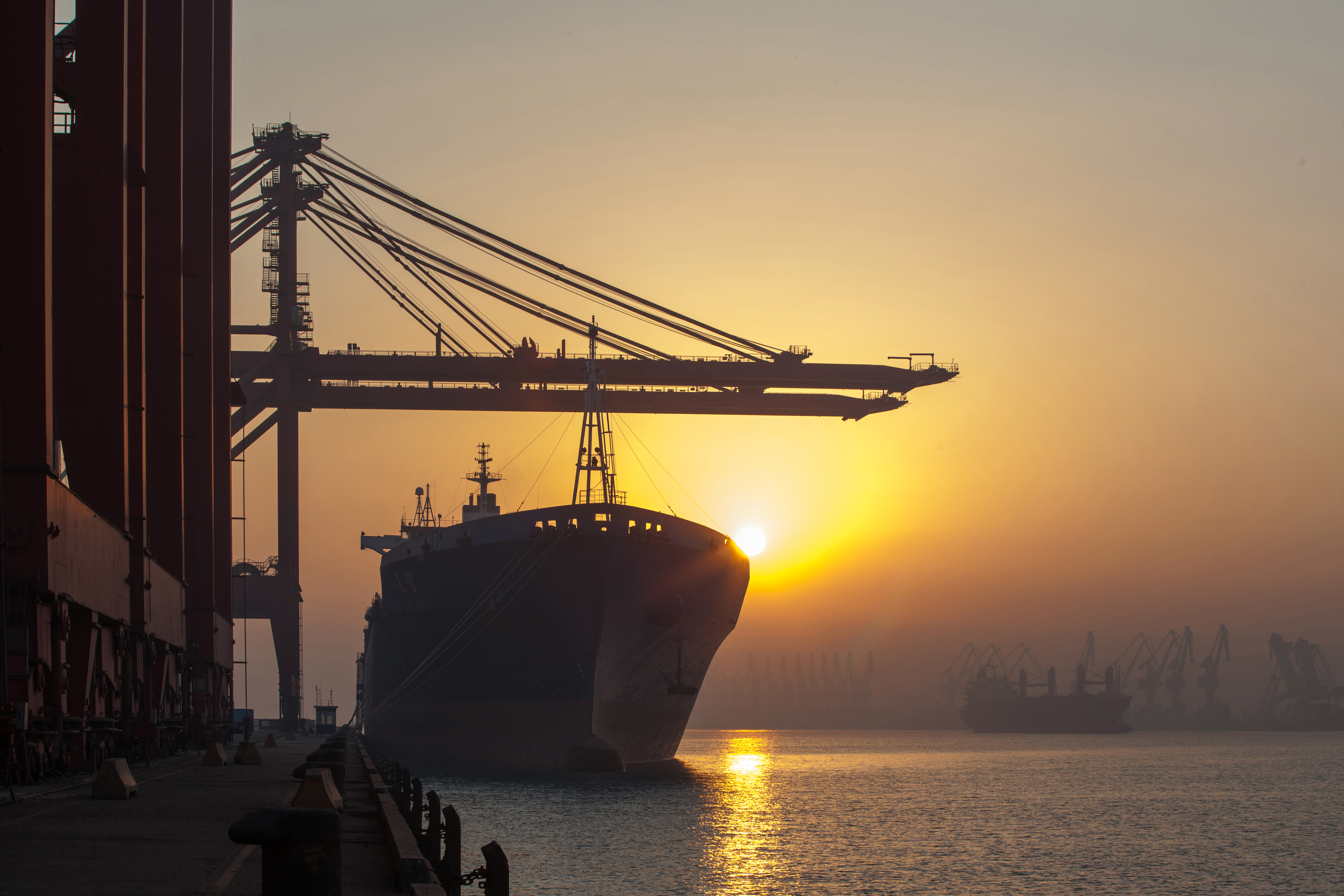 Live Exports: Why It’s a Good Thing For Farmers & The Economy