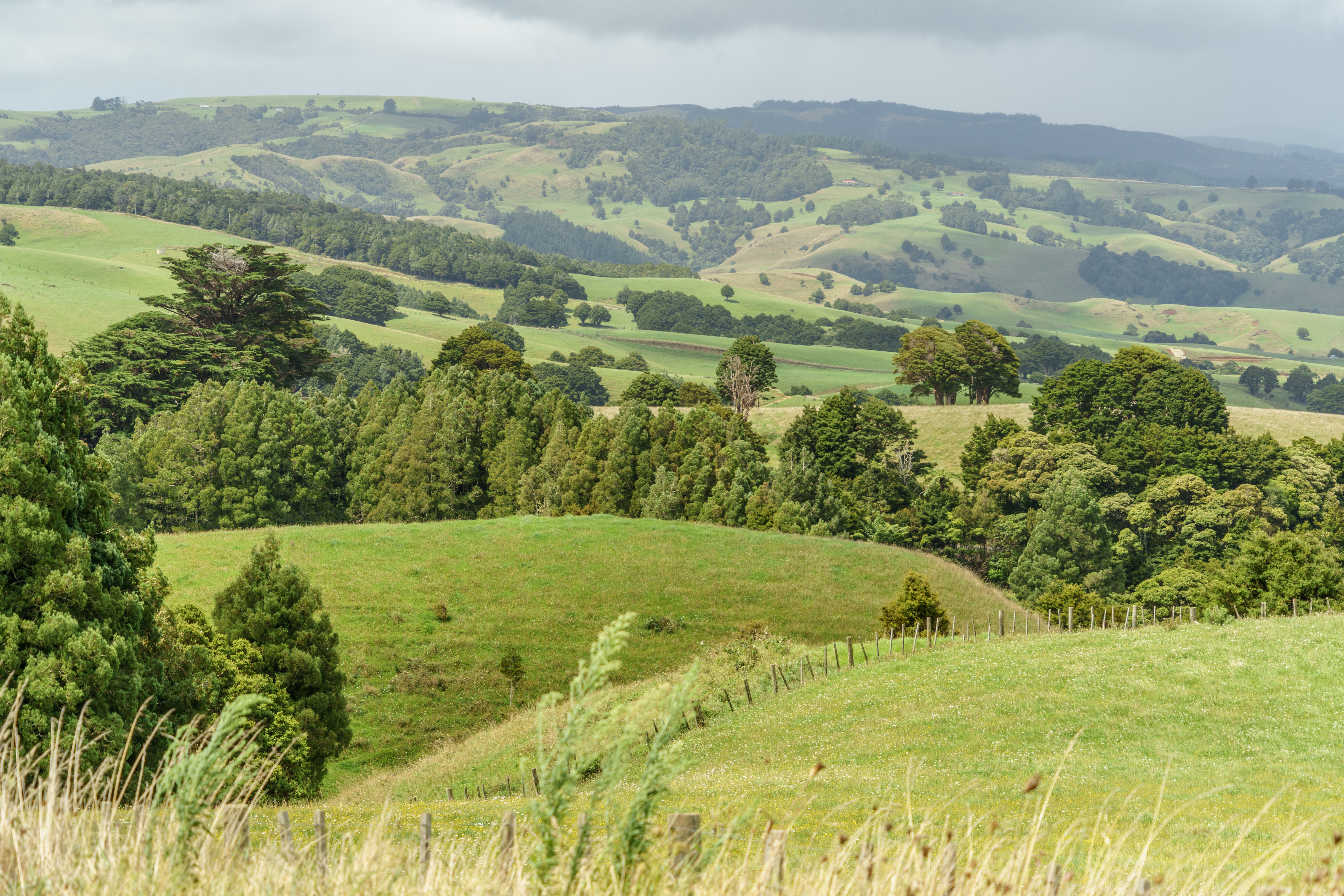 The Top Most Common Farming Terrains In Australia and New Zealand: Which Is Best?